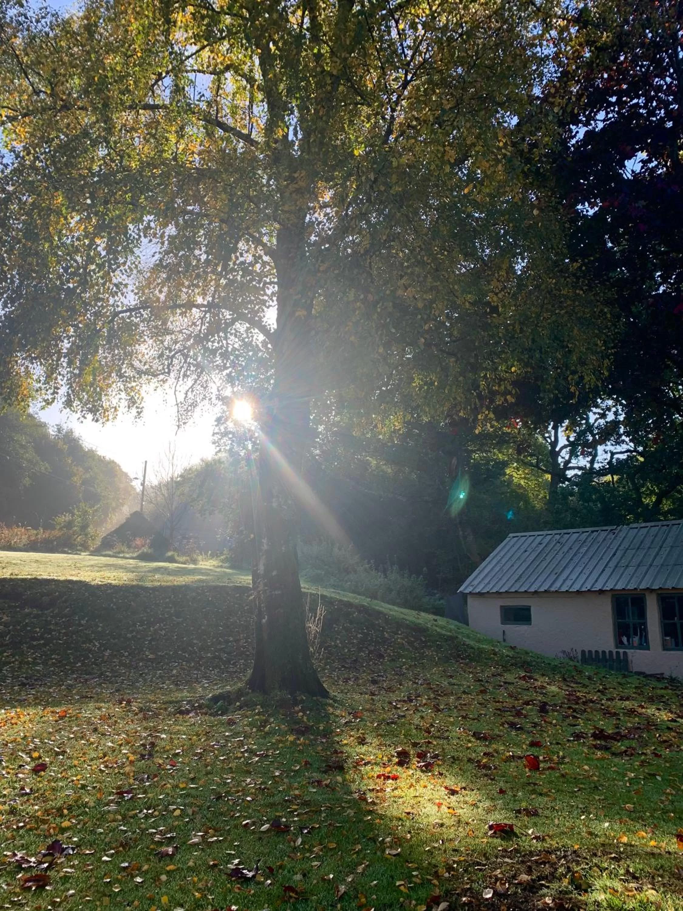 Natural landscape in Efail Y Garn