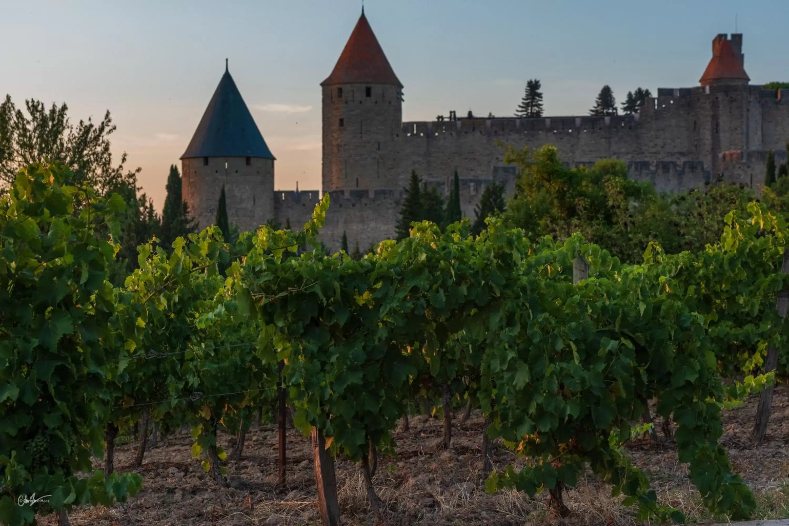 Activities in Cerise Carcassonne Sud