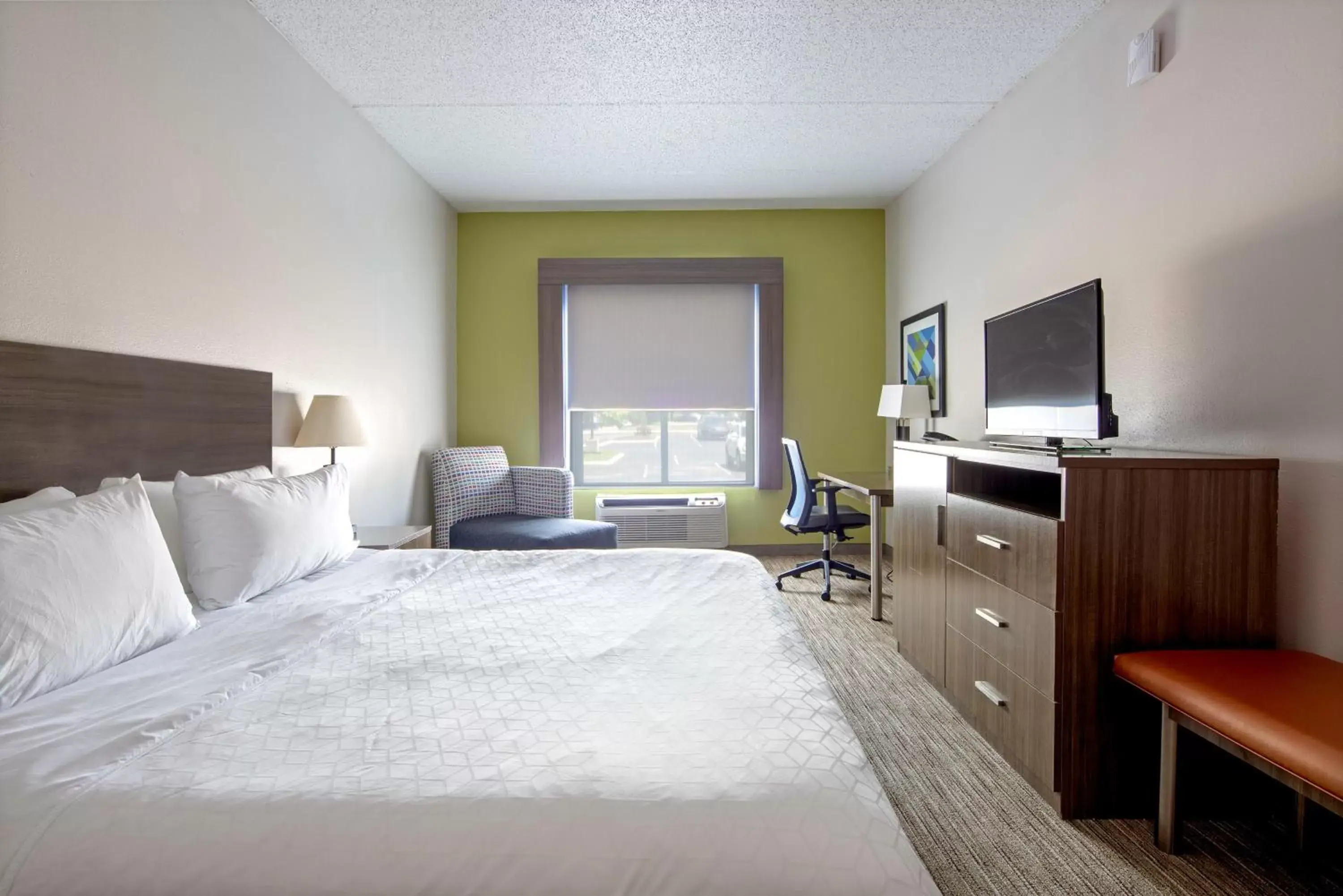 Photo of the whole room, Bed in Holiday Inn Express Hotel & Suites Chattanooga-Lookout Mountain, an IHG Hotel