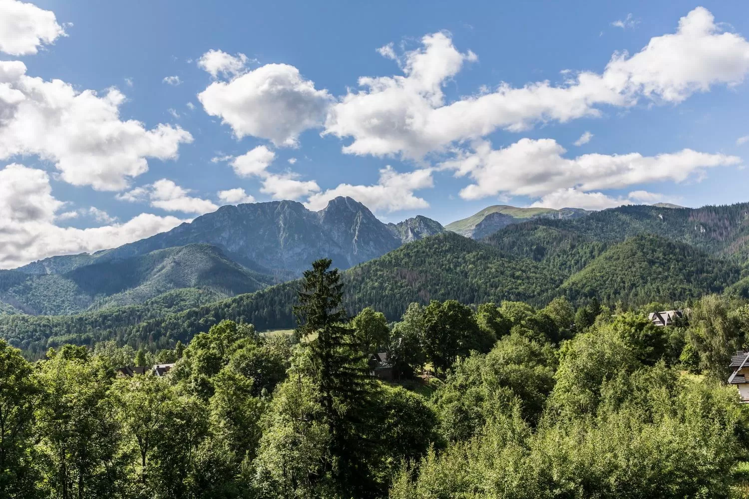 Mountain view in Royal Hill Residence