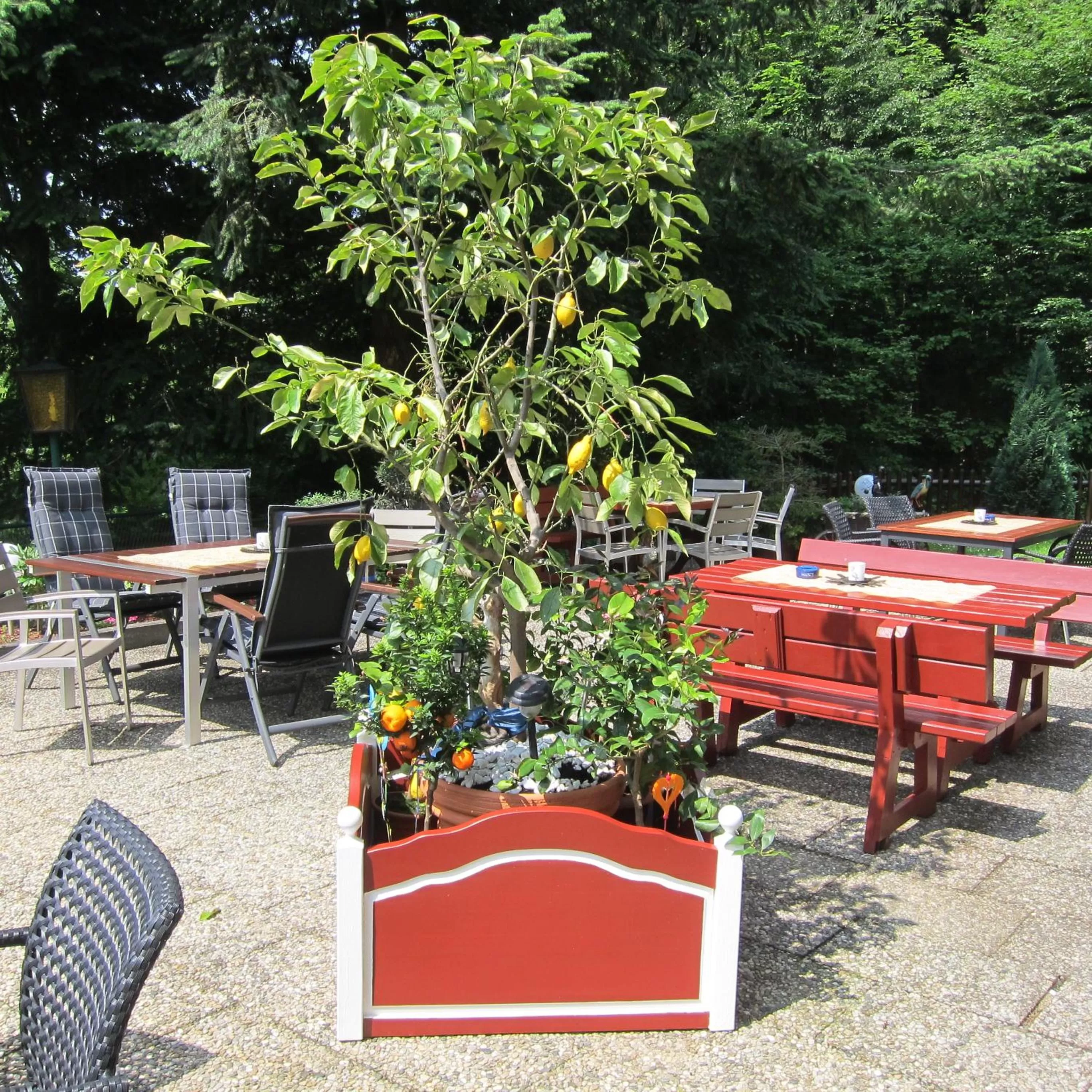 Seating area in Hotel Sonnleitn