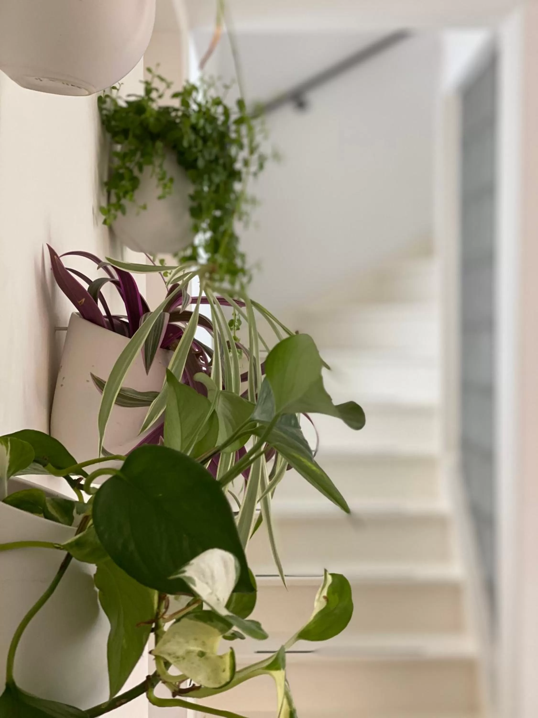 Romantic Wellness BnB Noordwijk