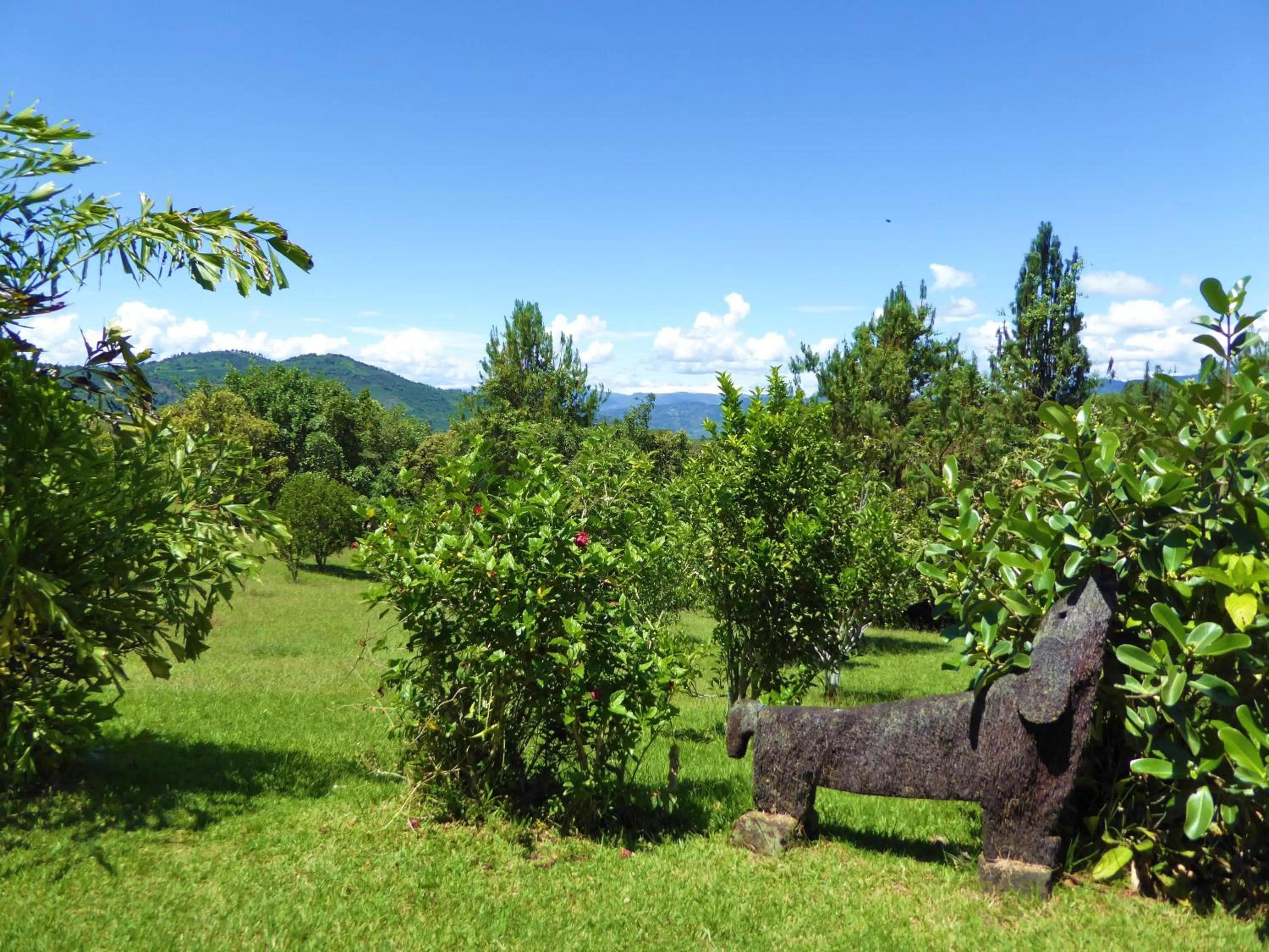 Garden in Finca El Cielo