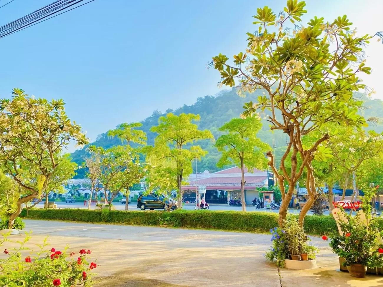 View (from property/room) in Sun Hotel