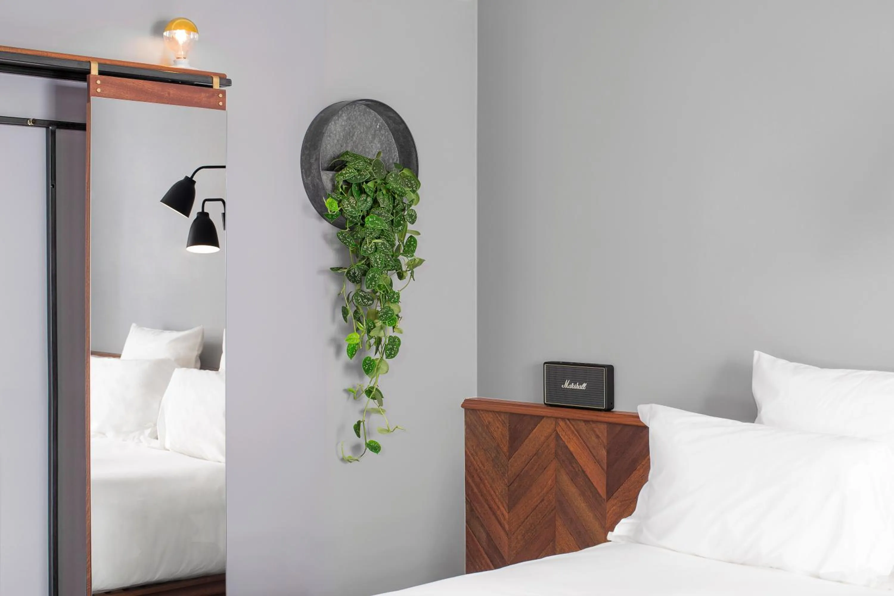 TV and multimedia, Bed in The Pilgrm