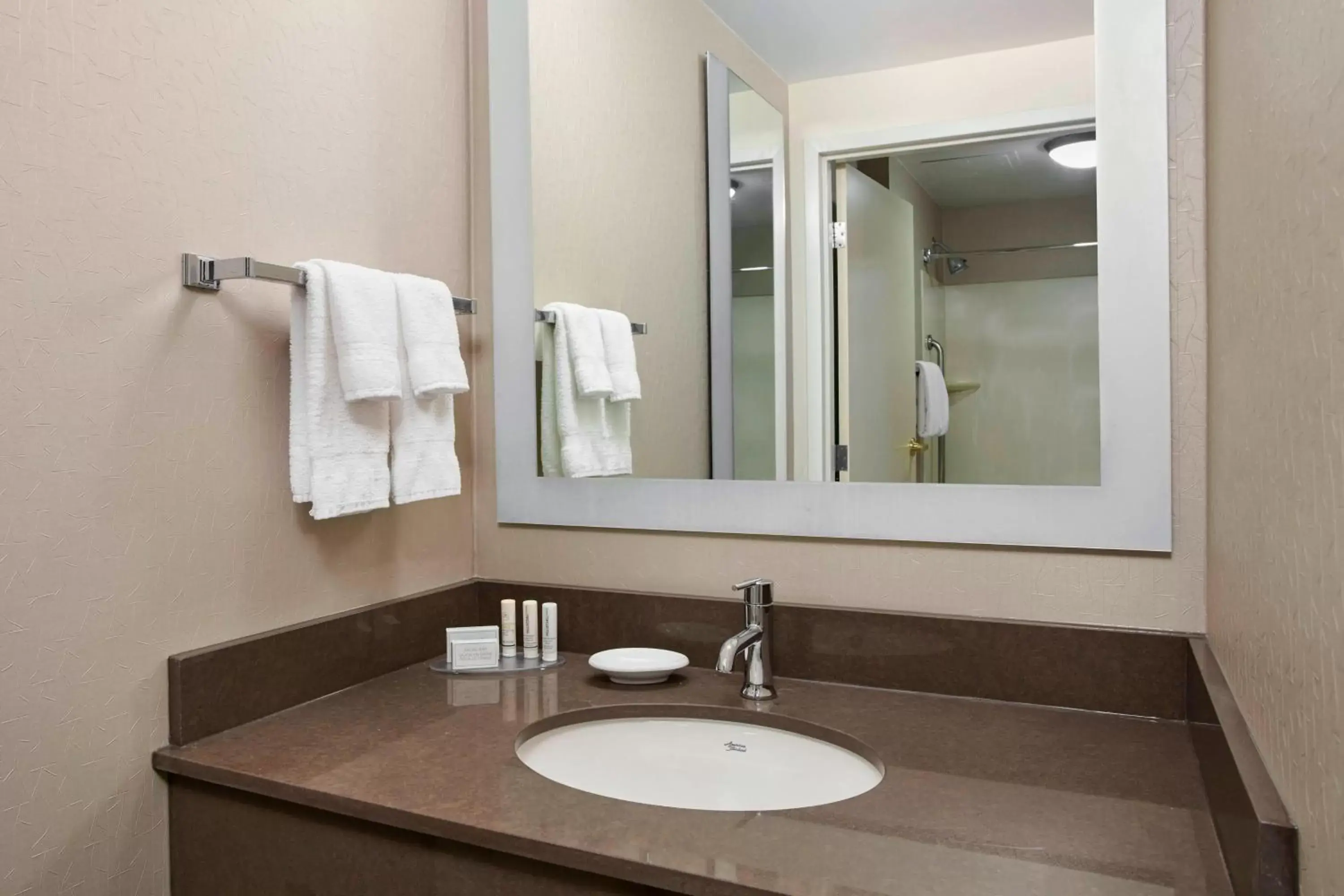 Bathroom in Springhill Suites by Marriott Chicago Schaumburg/Woodfield Mall