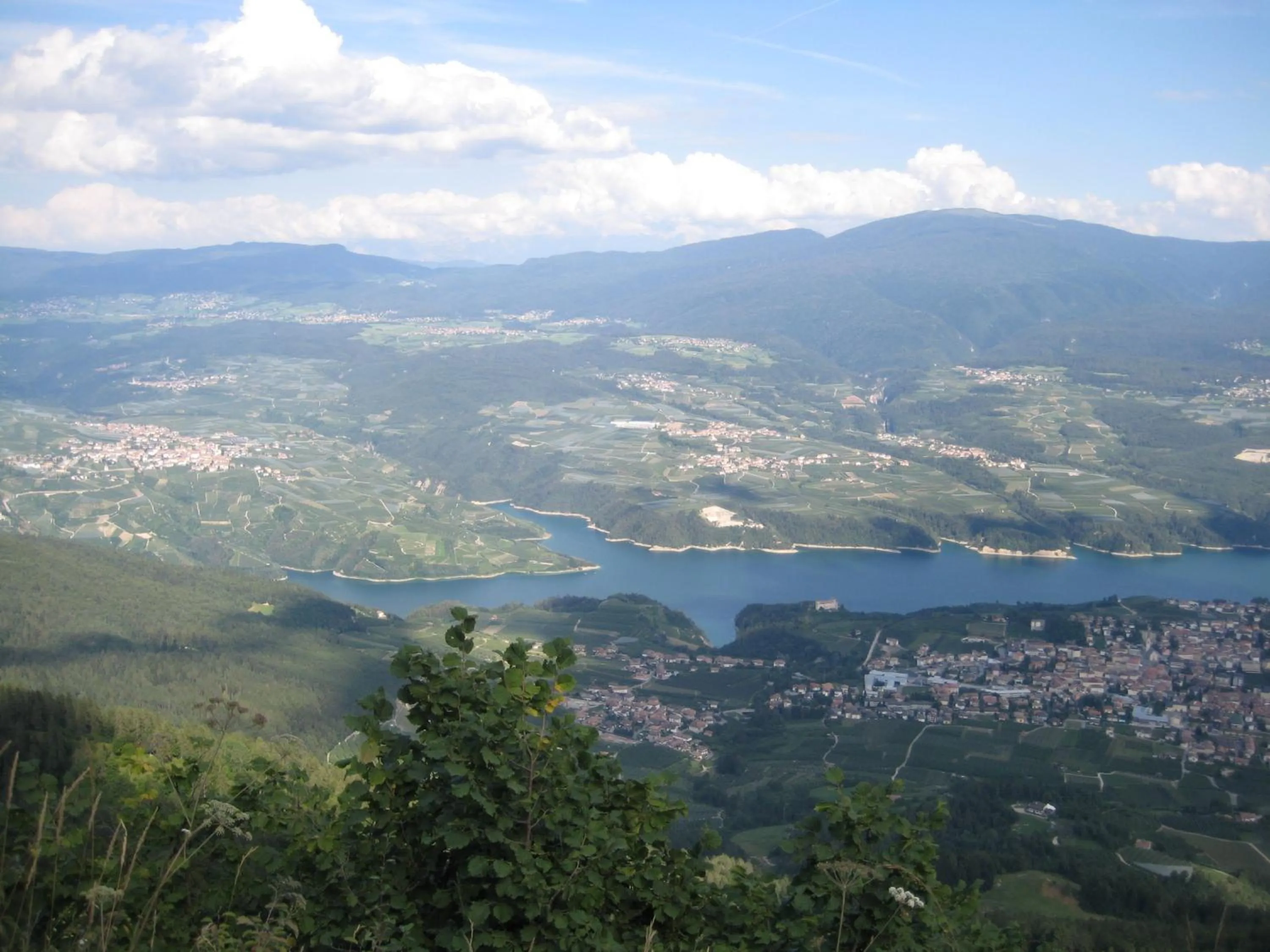 Area and facilities in Pineta Nature Resort - Wellness & SPA