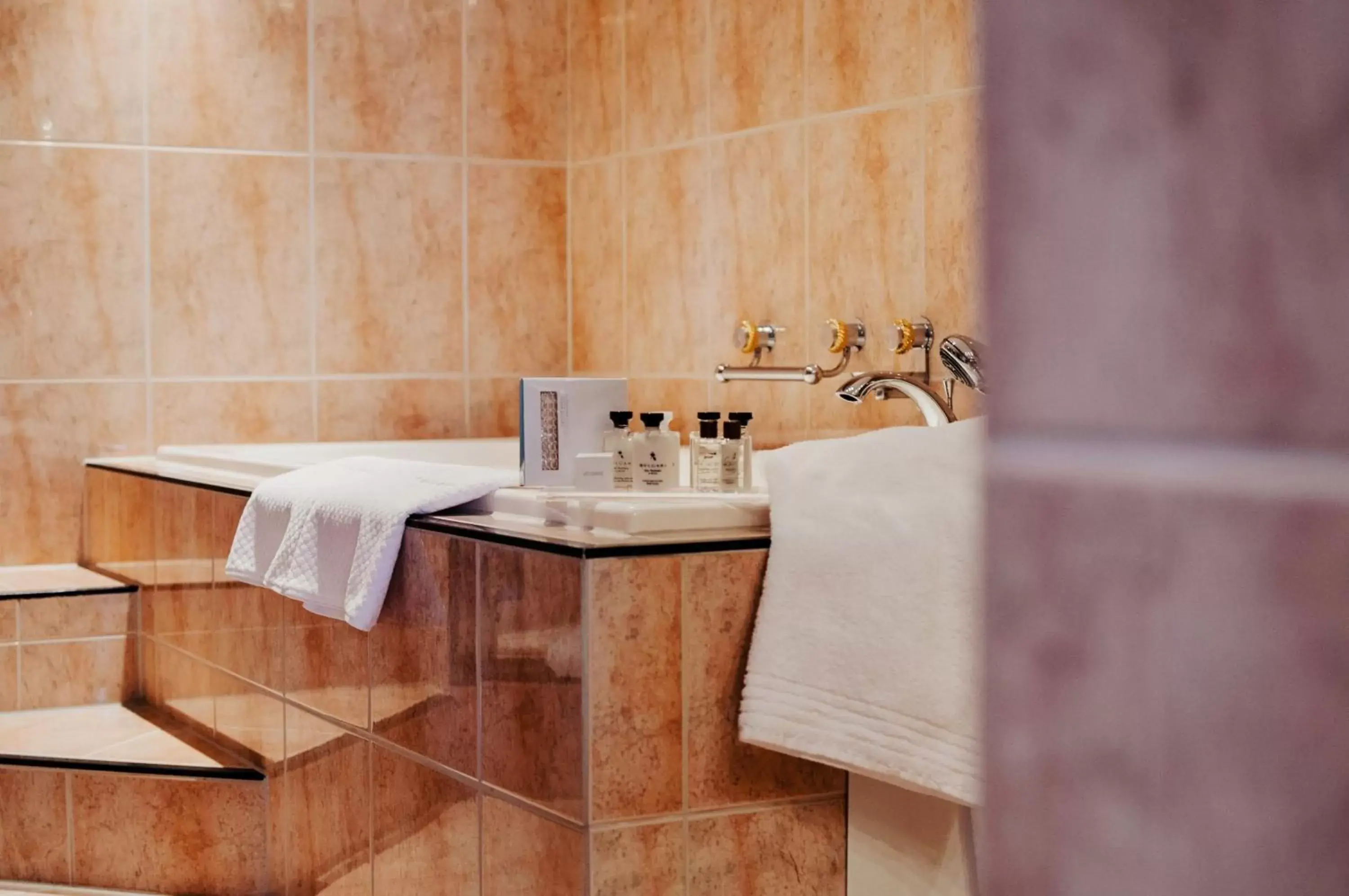 Bathroom, Kitchen/Kitchenette in Arosa Kulm Hotel & Alpin Spa