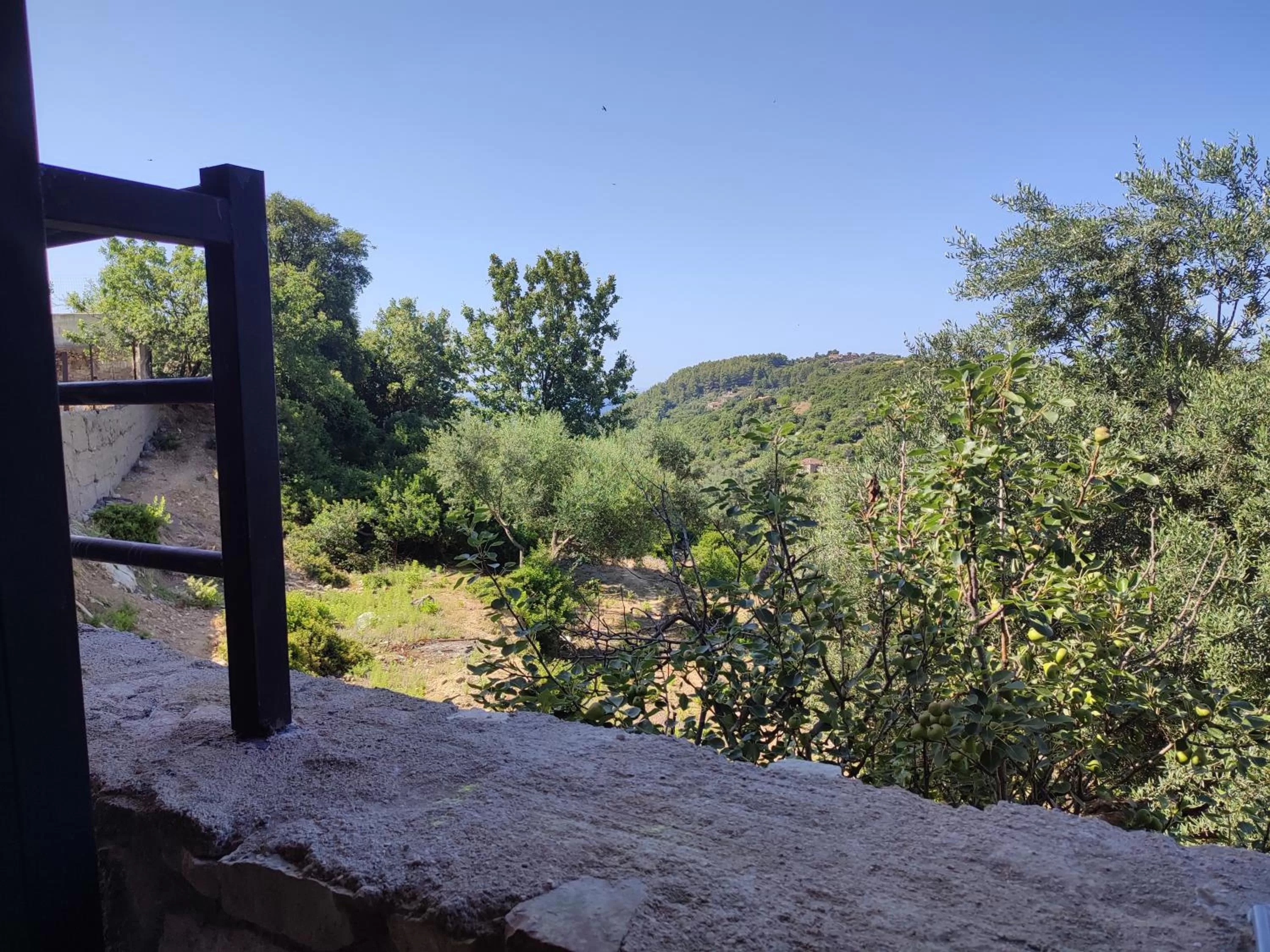 Natural landscape in Petros rooms