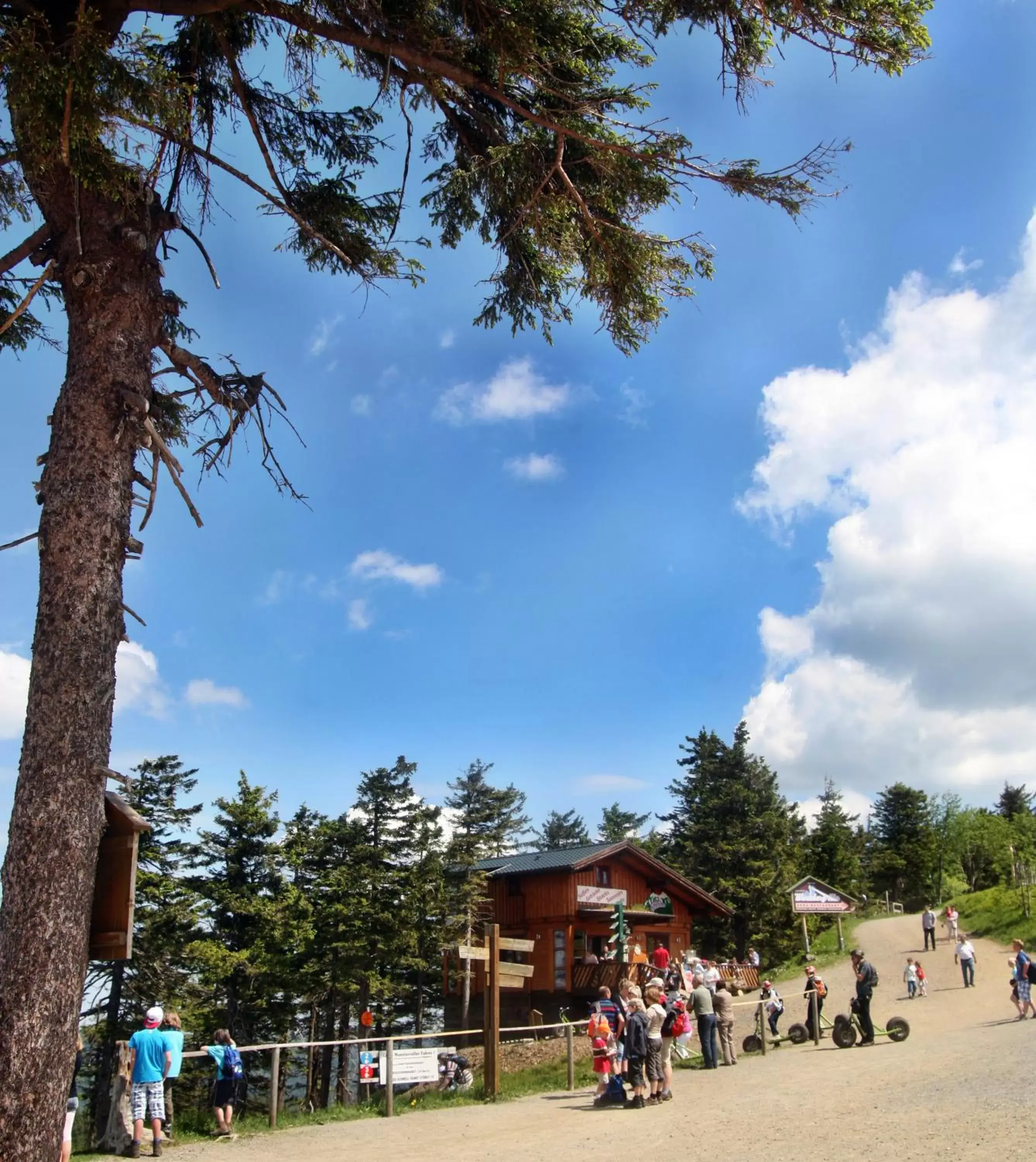 Area and facilities in relexa hotel Harz-Wald Braunlage GmbH