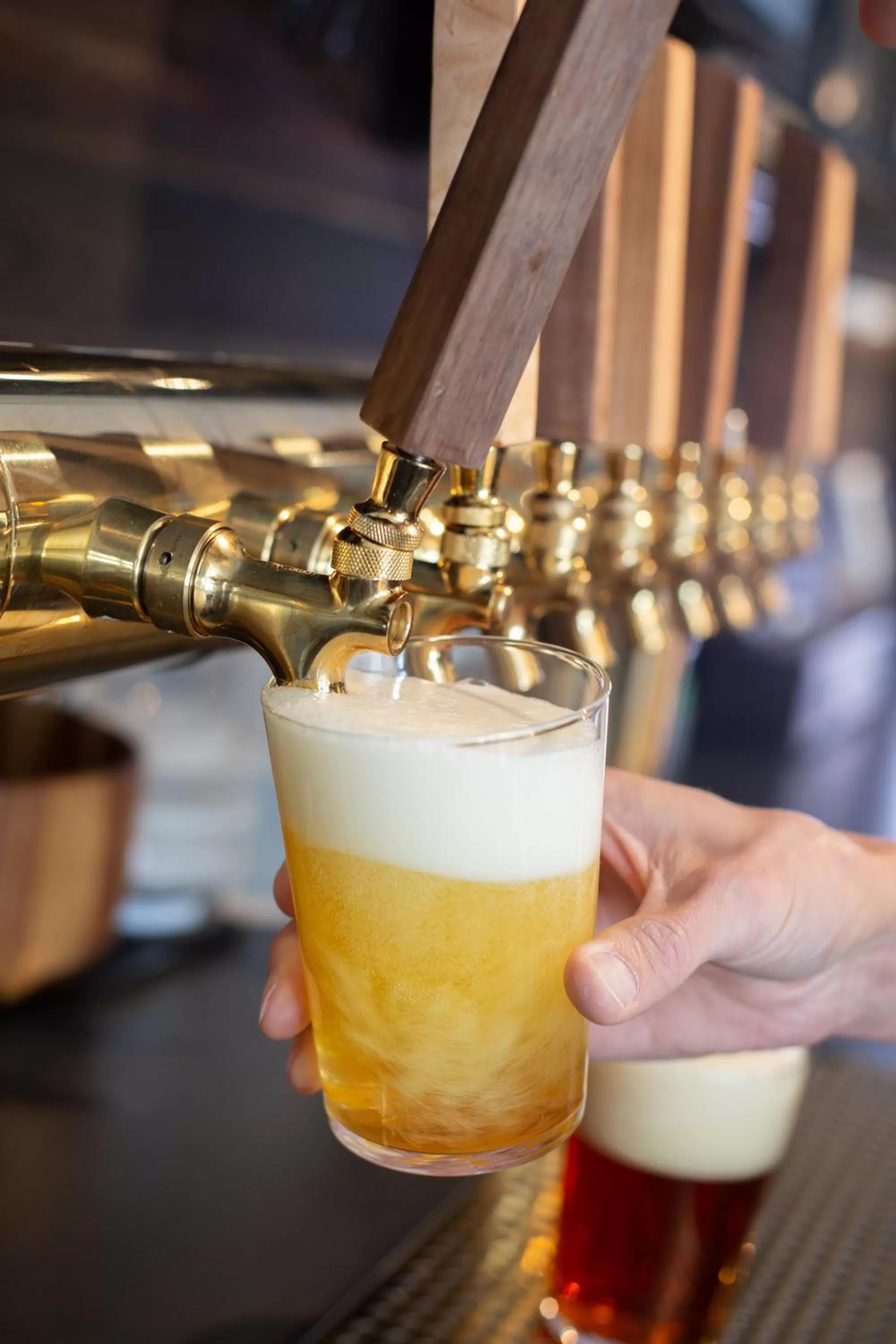 Restaurant/places to eat in Gravity Haus Winter Park