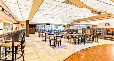 Lounge or bar, Restaurant/Places to Eat in Wyndham Garden Detroit Metro Airport