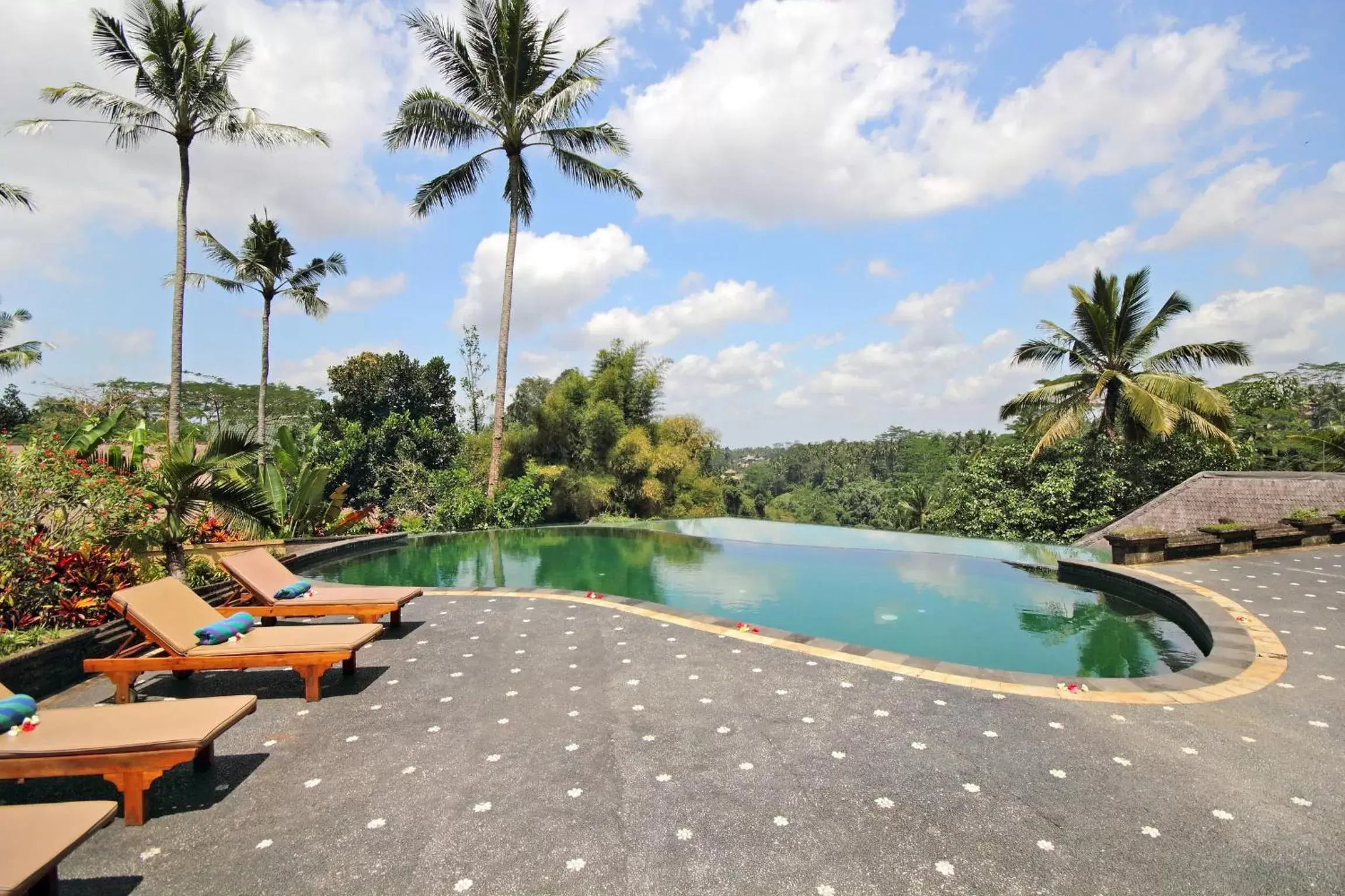 Swimming Pool in Tanah Merah Art Resort