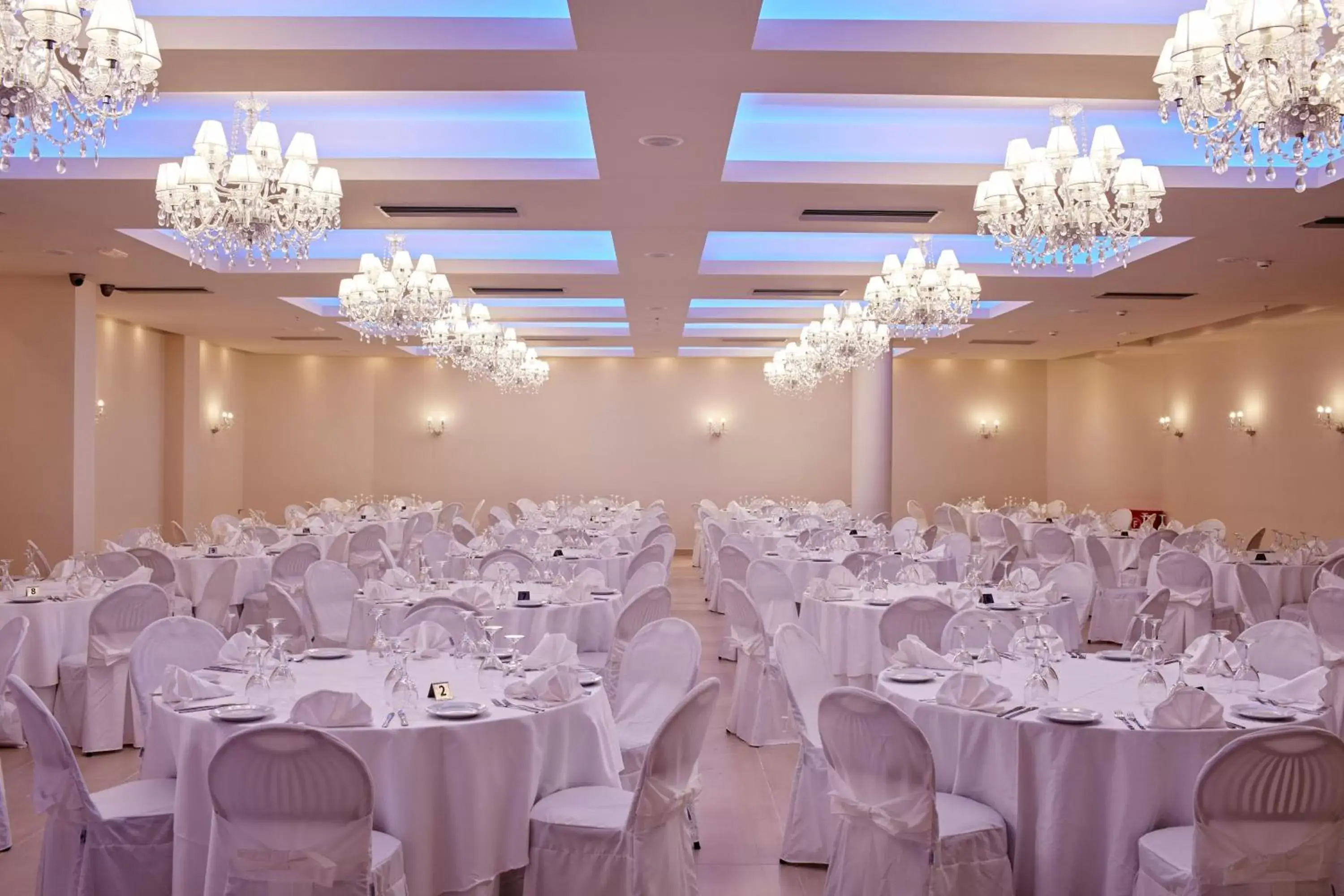 Banquet/Function facilities, Banquet Facilities in Aar Hotel & Spa Ioannina