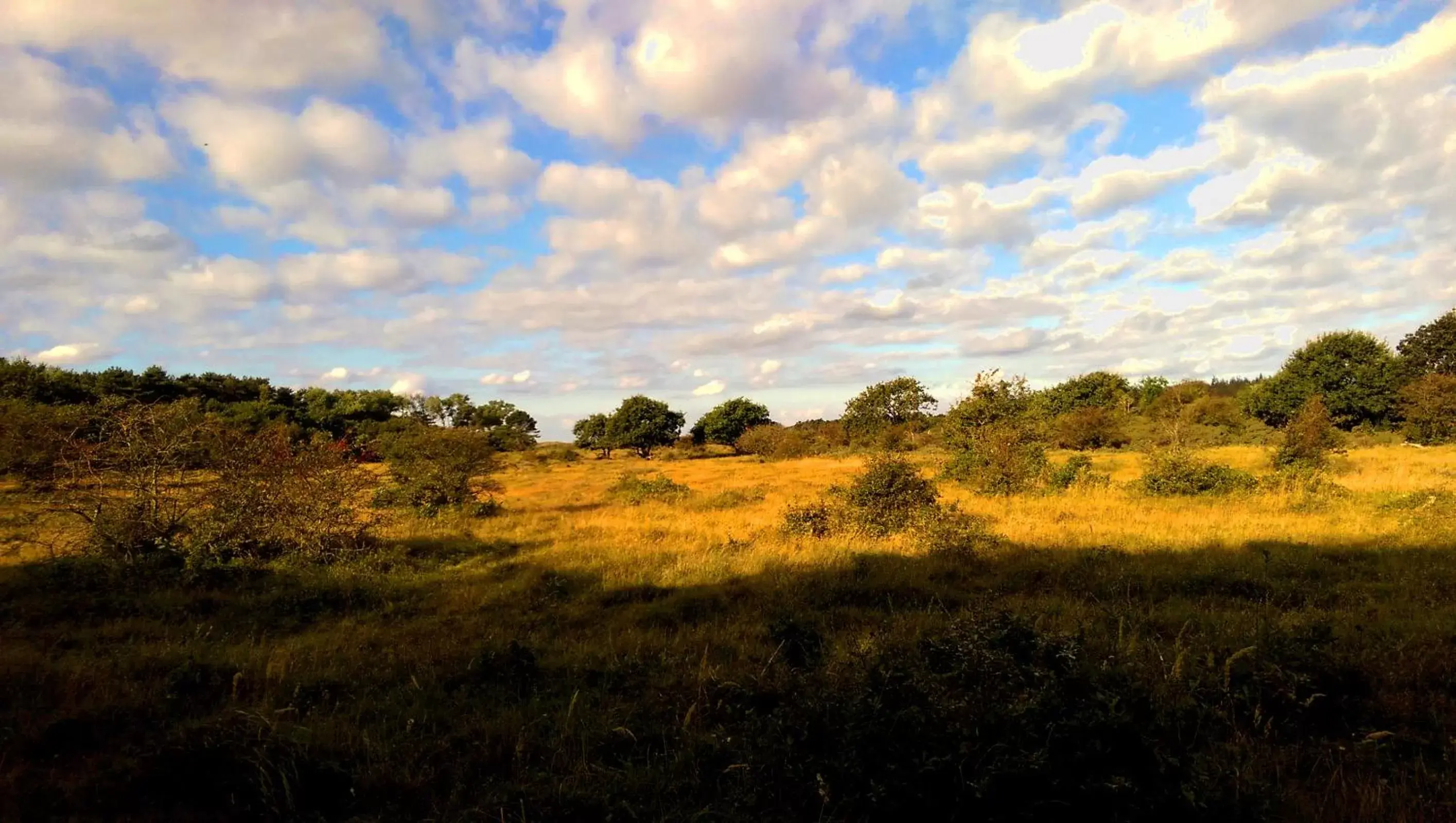 Off site, Natural Landscape in Hotel Huize Koningsbosch