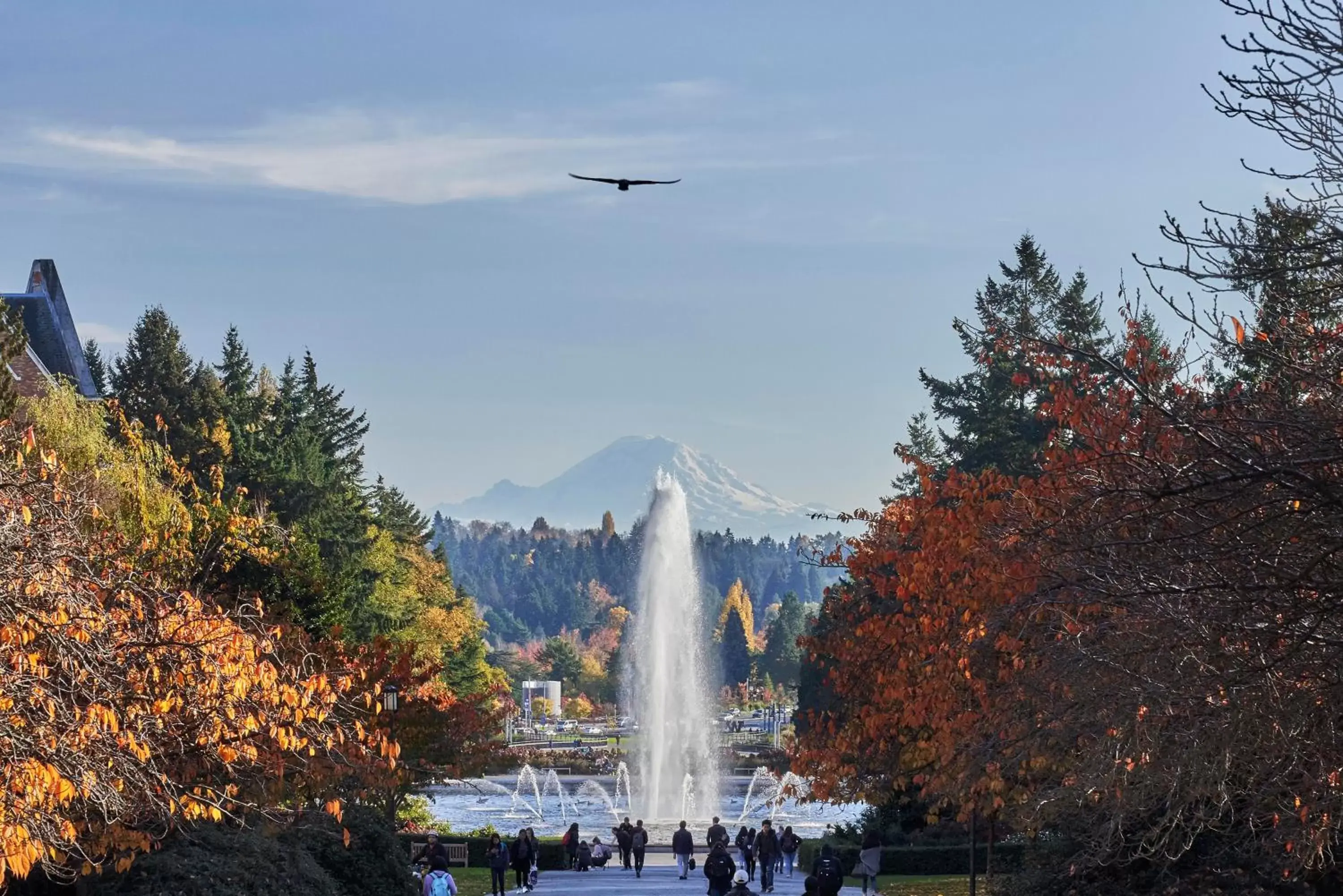 Natural landscape in Graduate Seattle