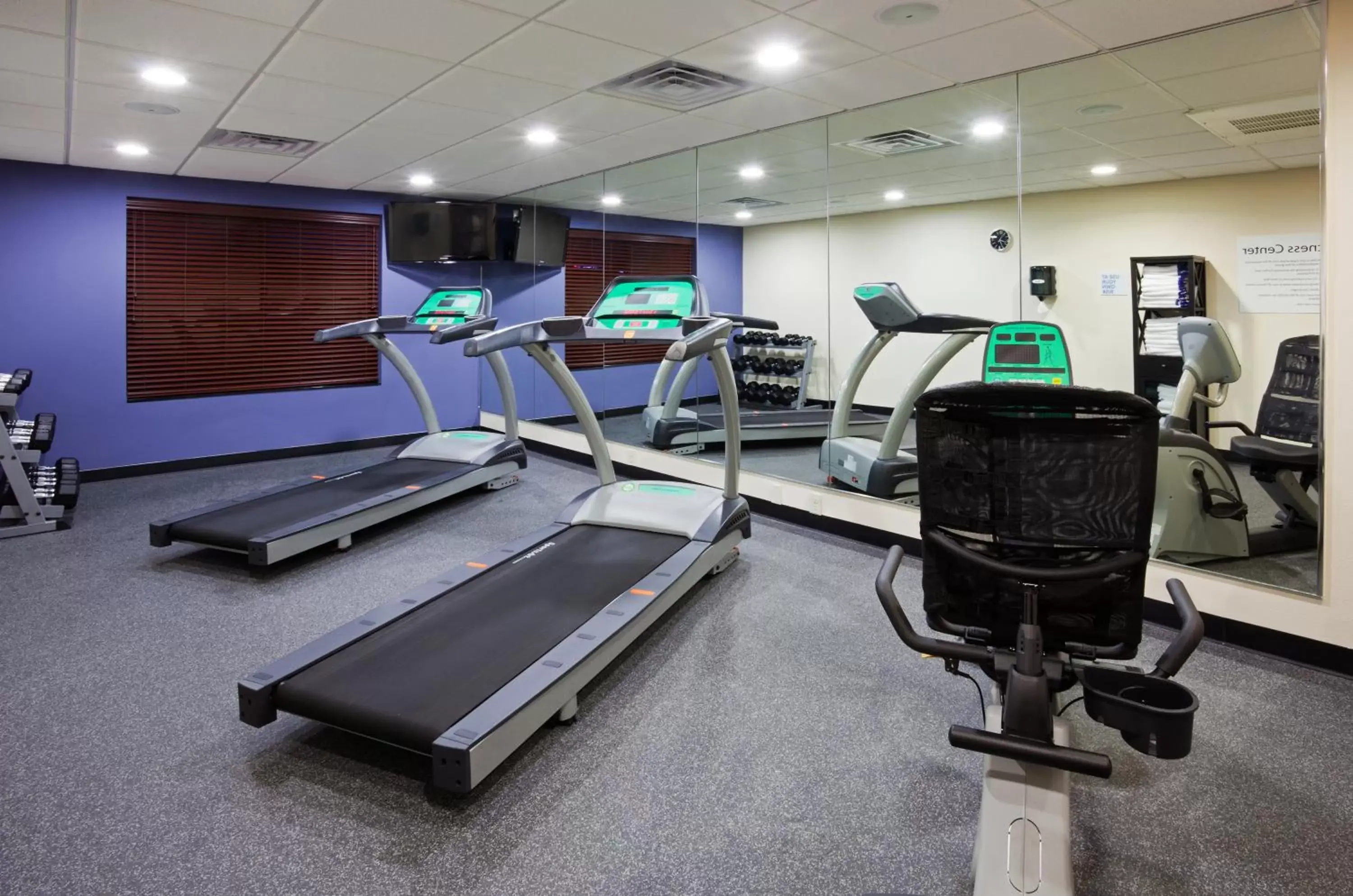 Fitness centre/facilities, Fitness Center/Facilities in Holiday Inn Express and Suites Rochester West-Medical Center, an IHG Hotel