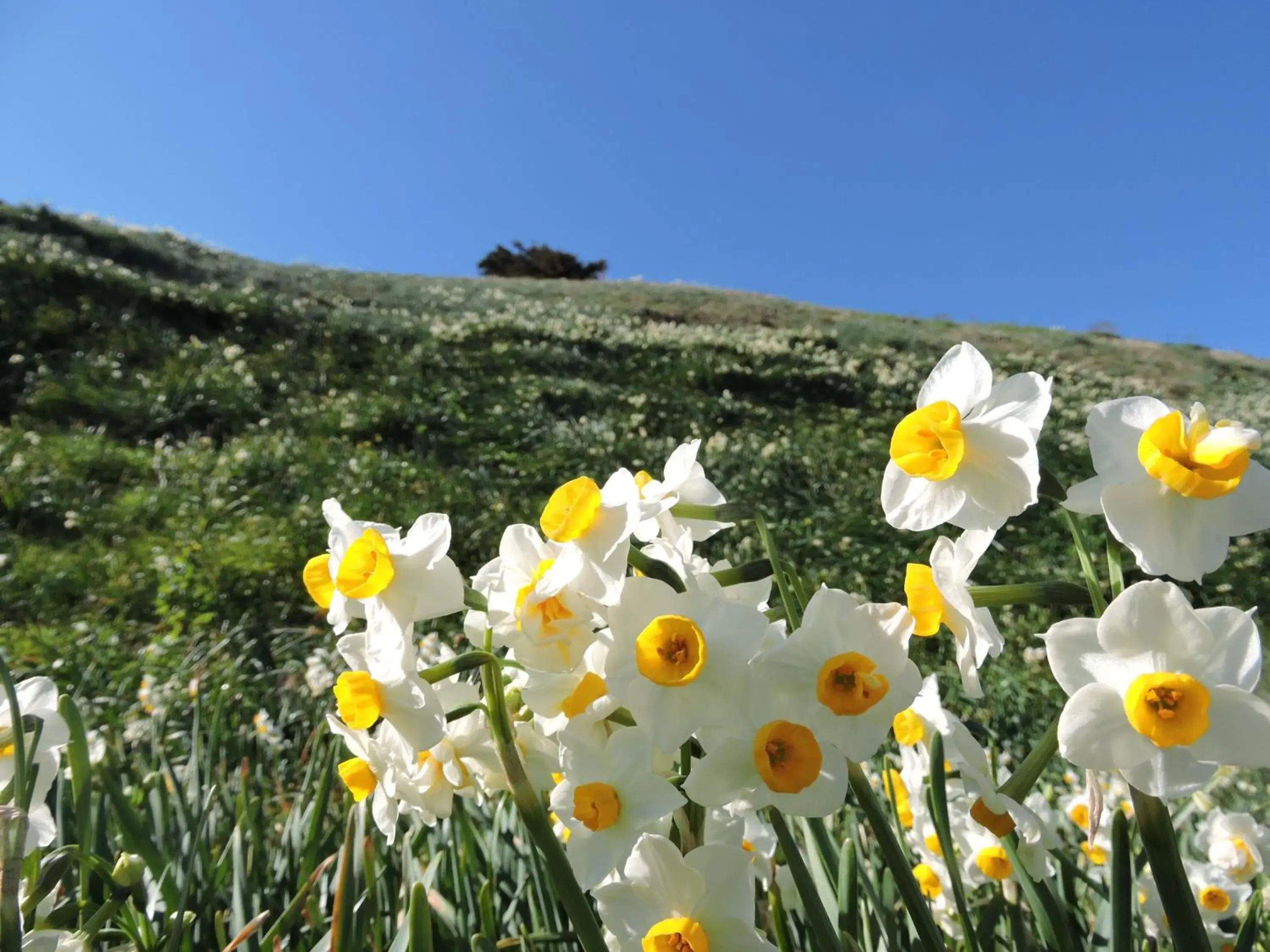 Seasons in Shimoda Prince Hotel