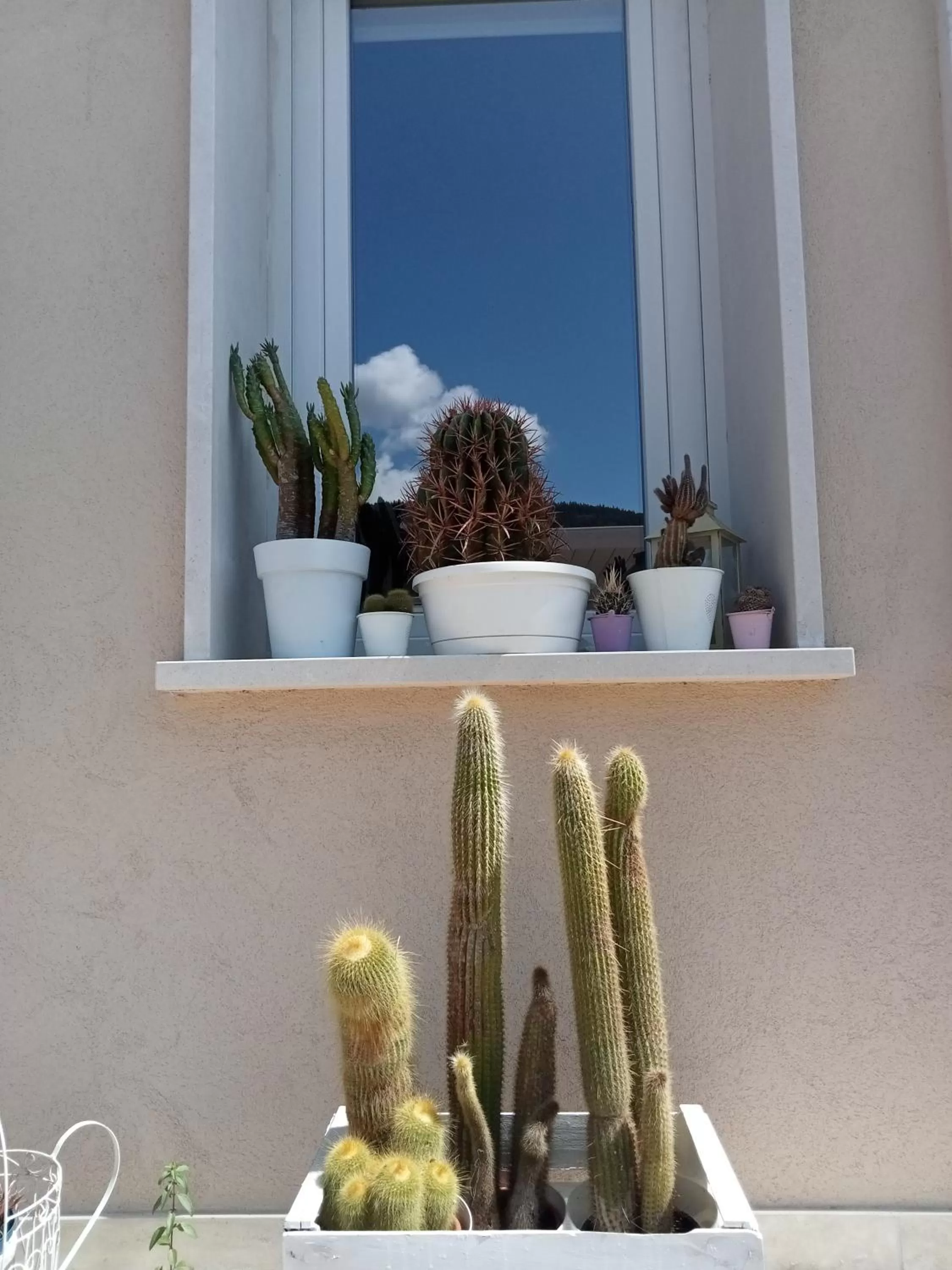 Day in Hotel Porta Rivera