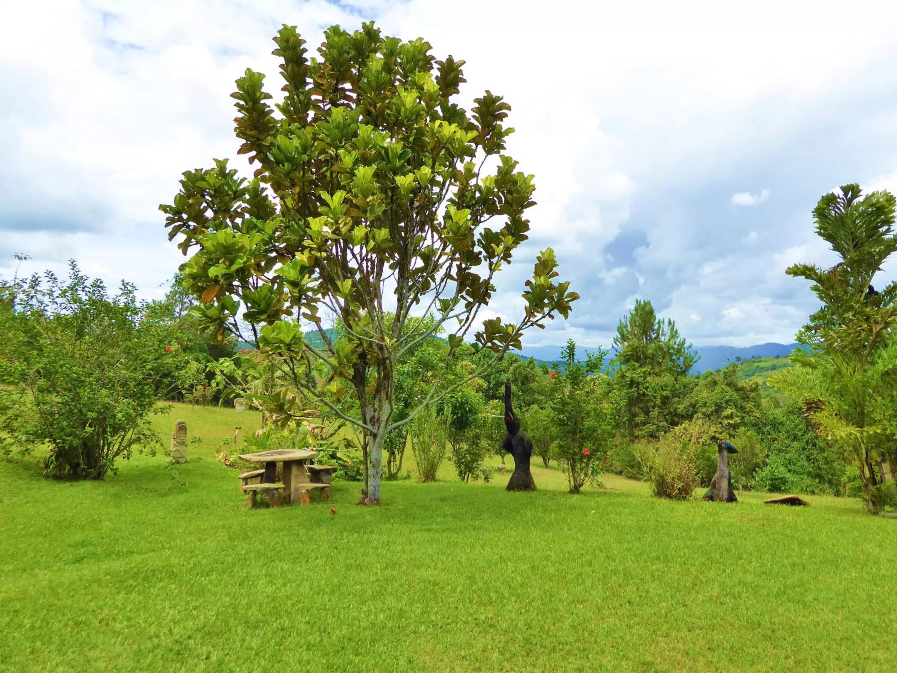 Garden in Finca El Cielo