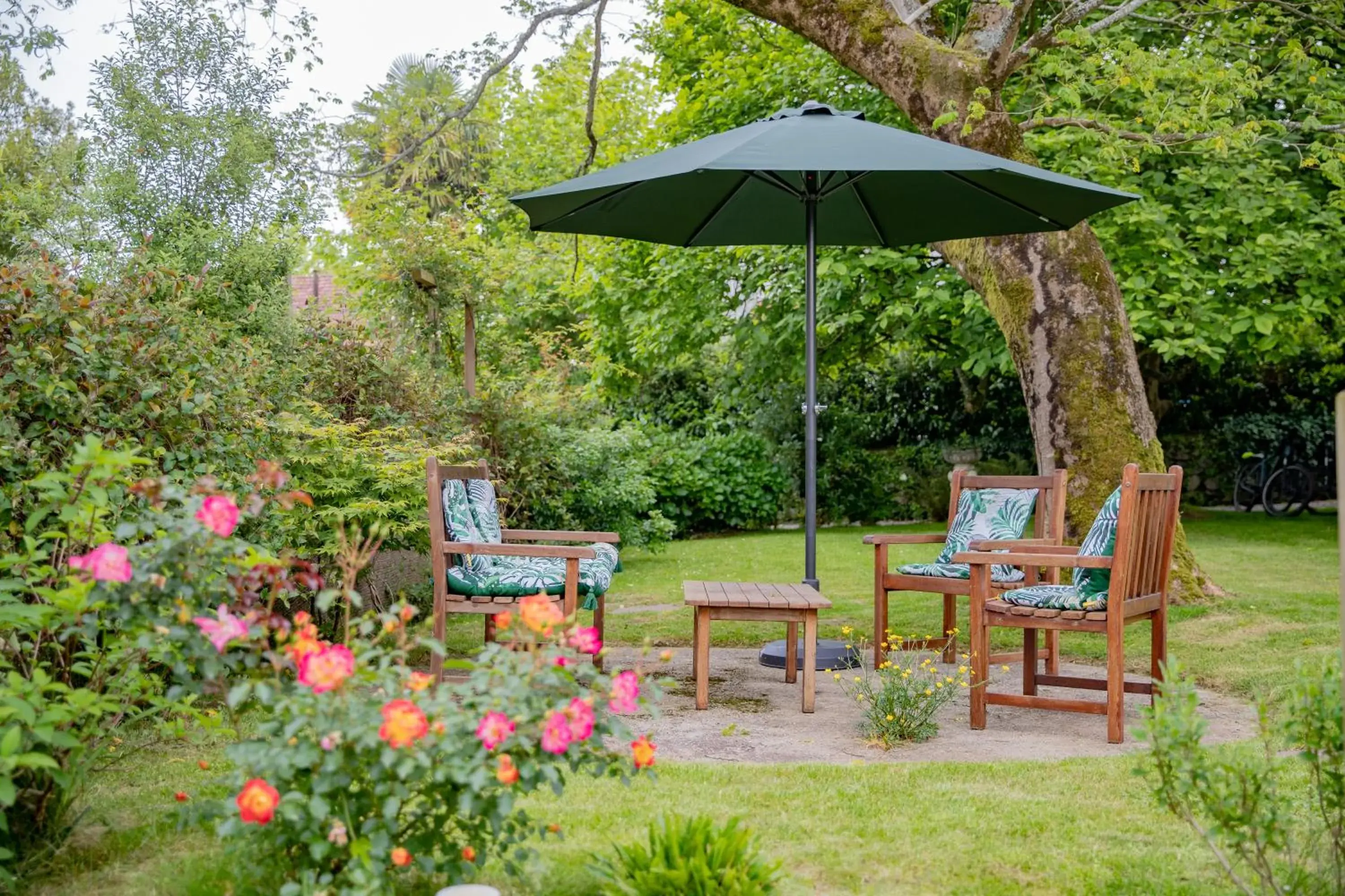 Garden in Hostellerie du Parc