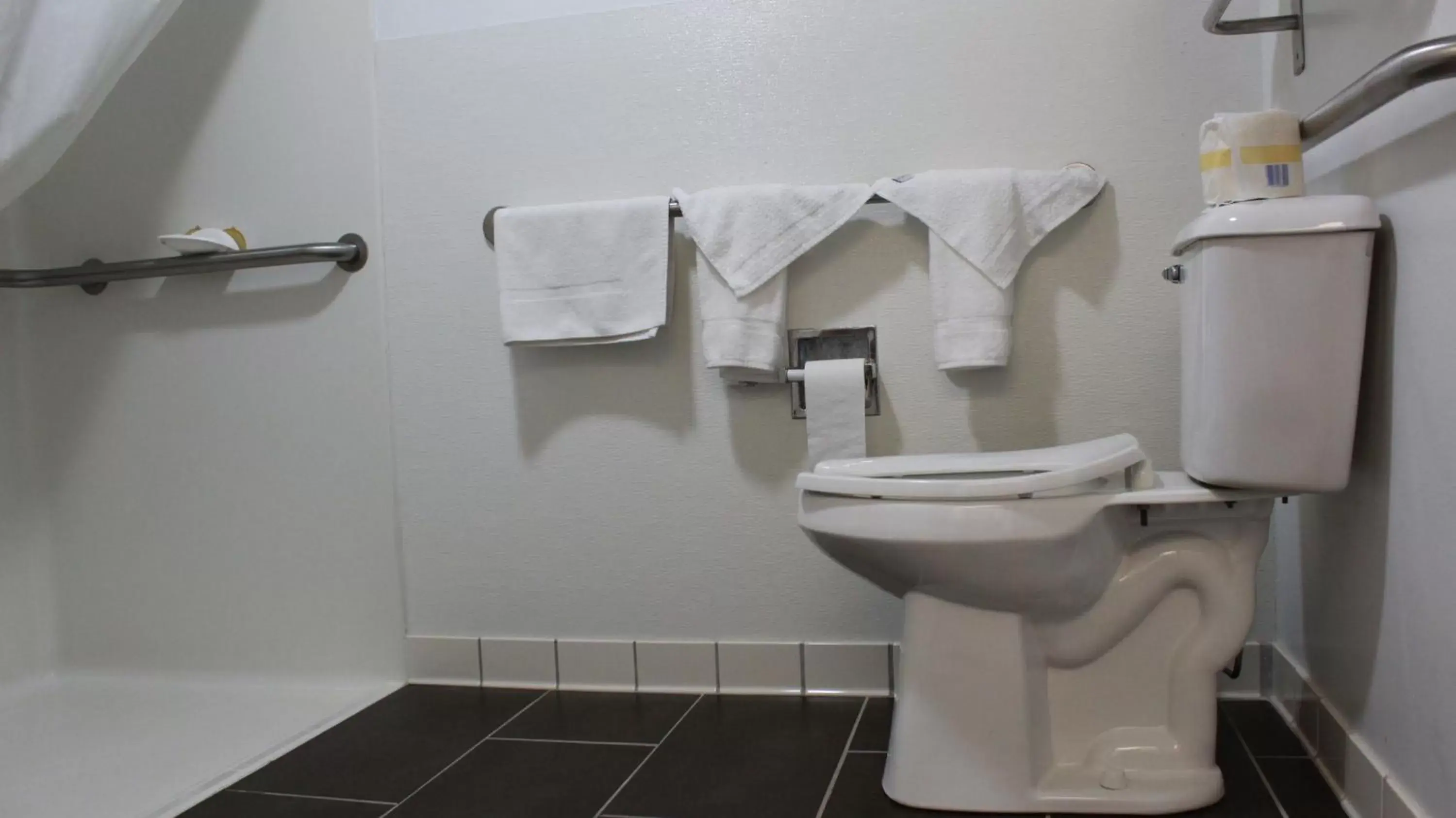 Toilet, Bathroom in Forest City Inn