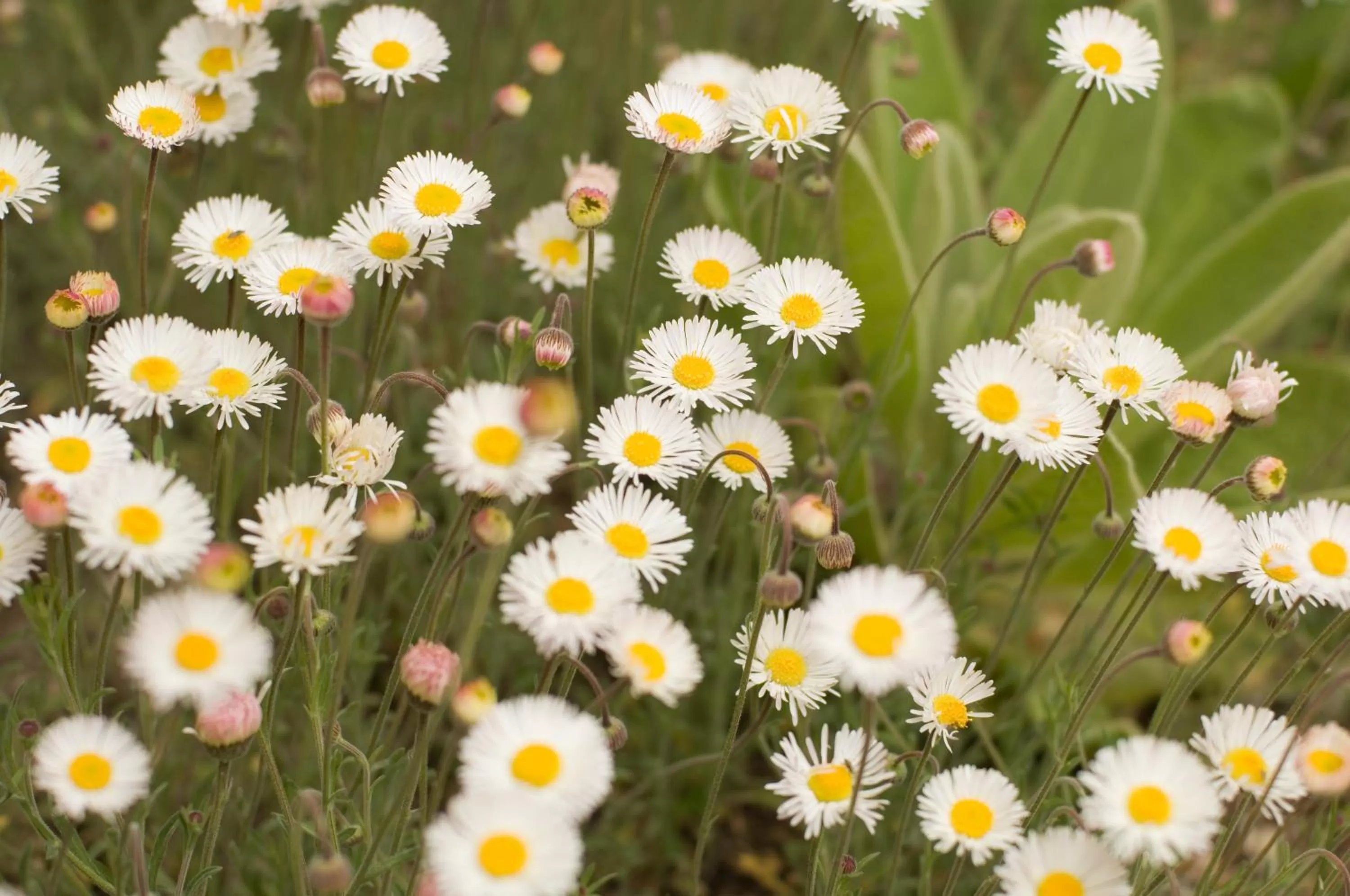 Area and facilities in Fort Marcy Suites by All Seasons Resort Lodging