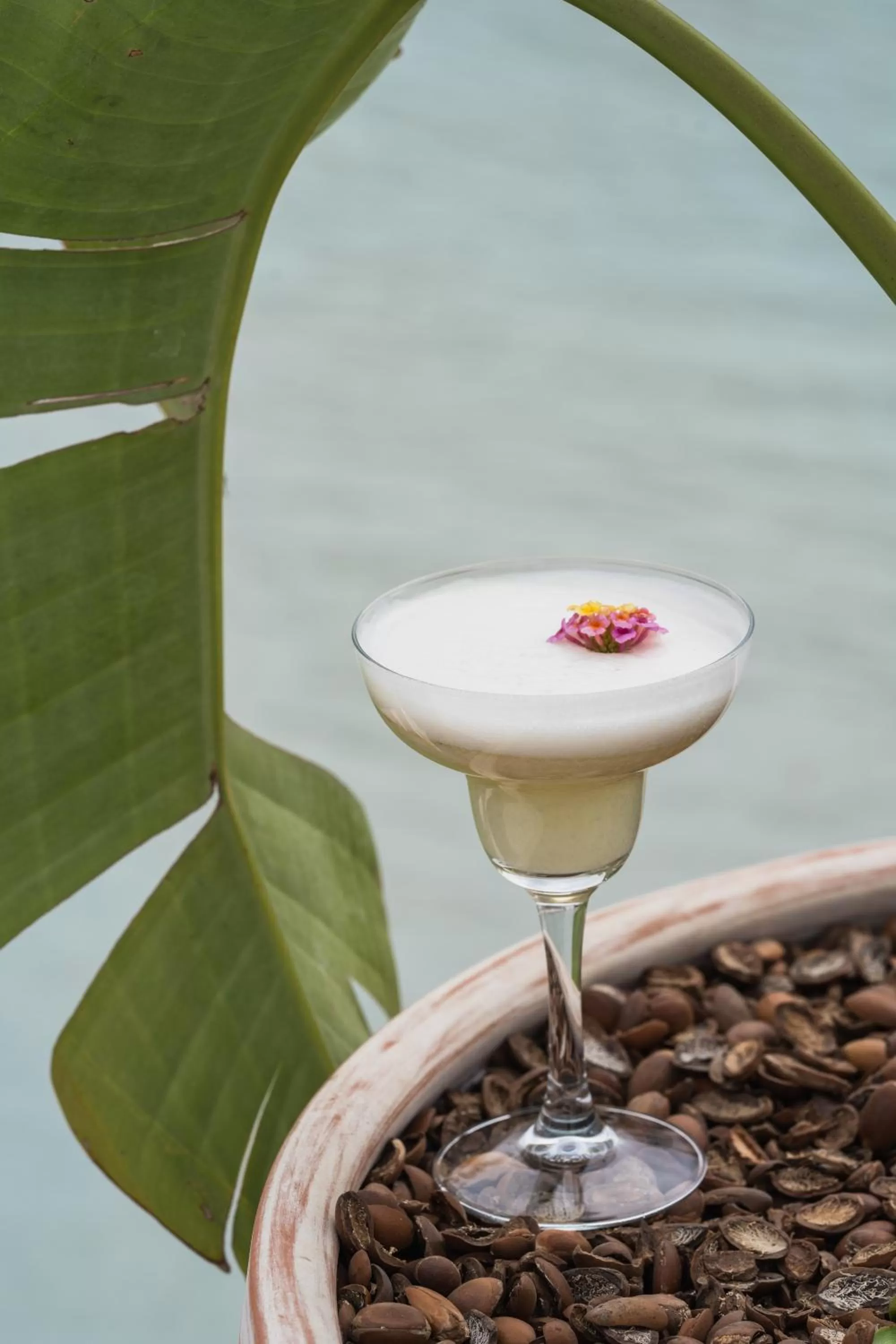 Food and drinks in Sofitel Agadir Thalassa Sea & Spa