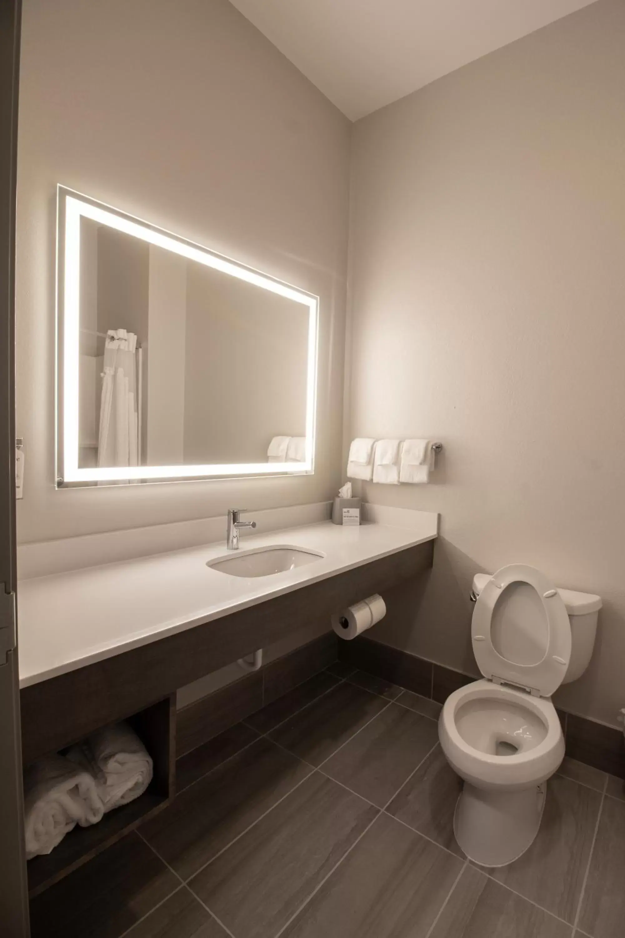 Bathroom in Holiday Inn Express Leland - Wilmington Area, an IHG Hotel