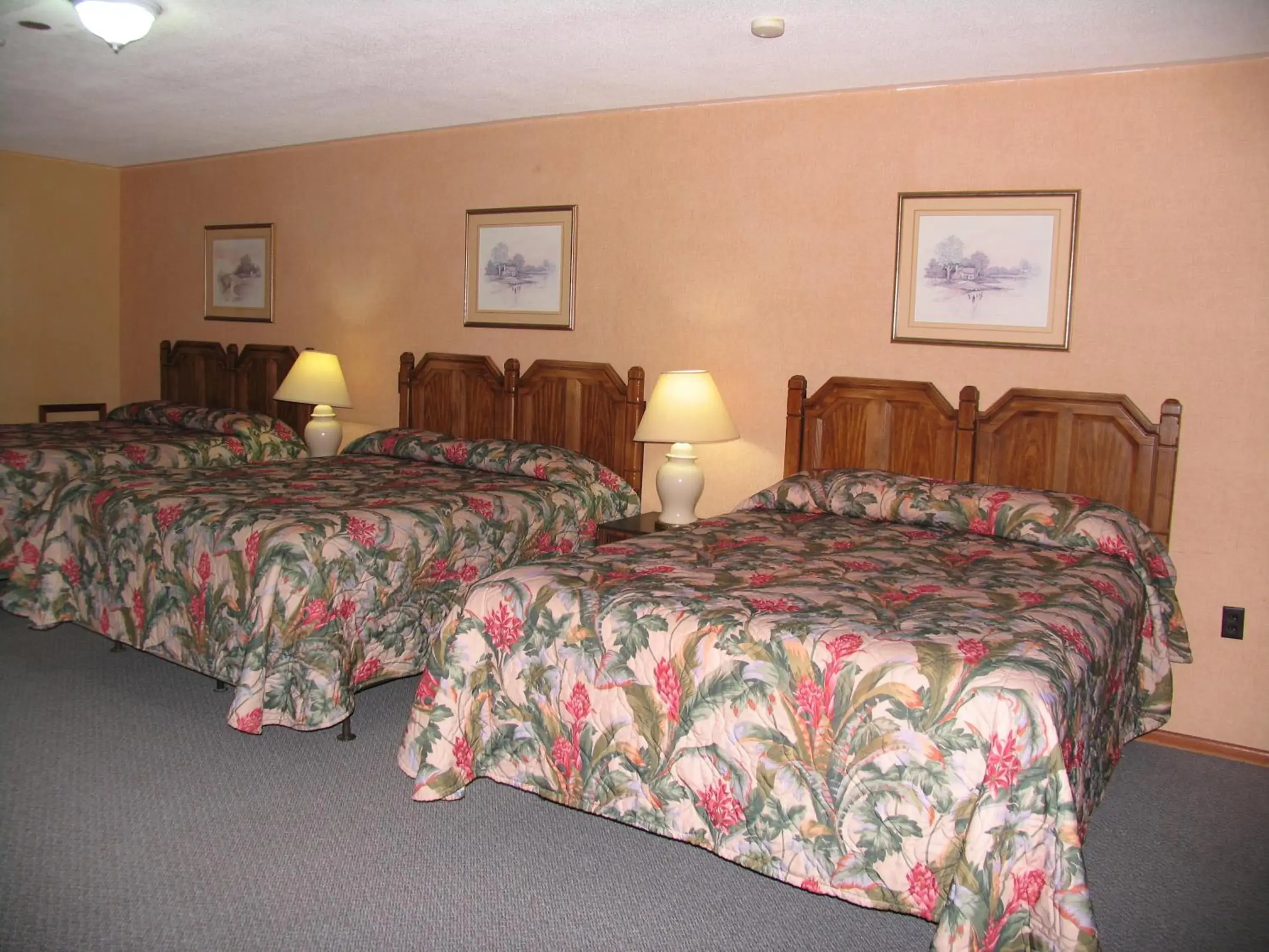 Bed in Seven Oakes Motel