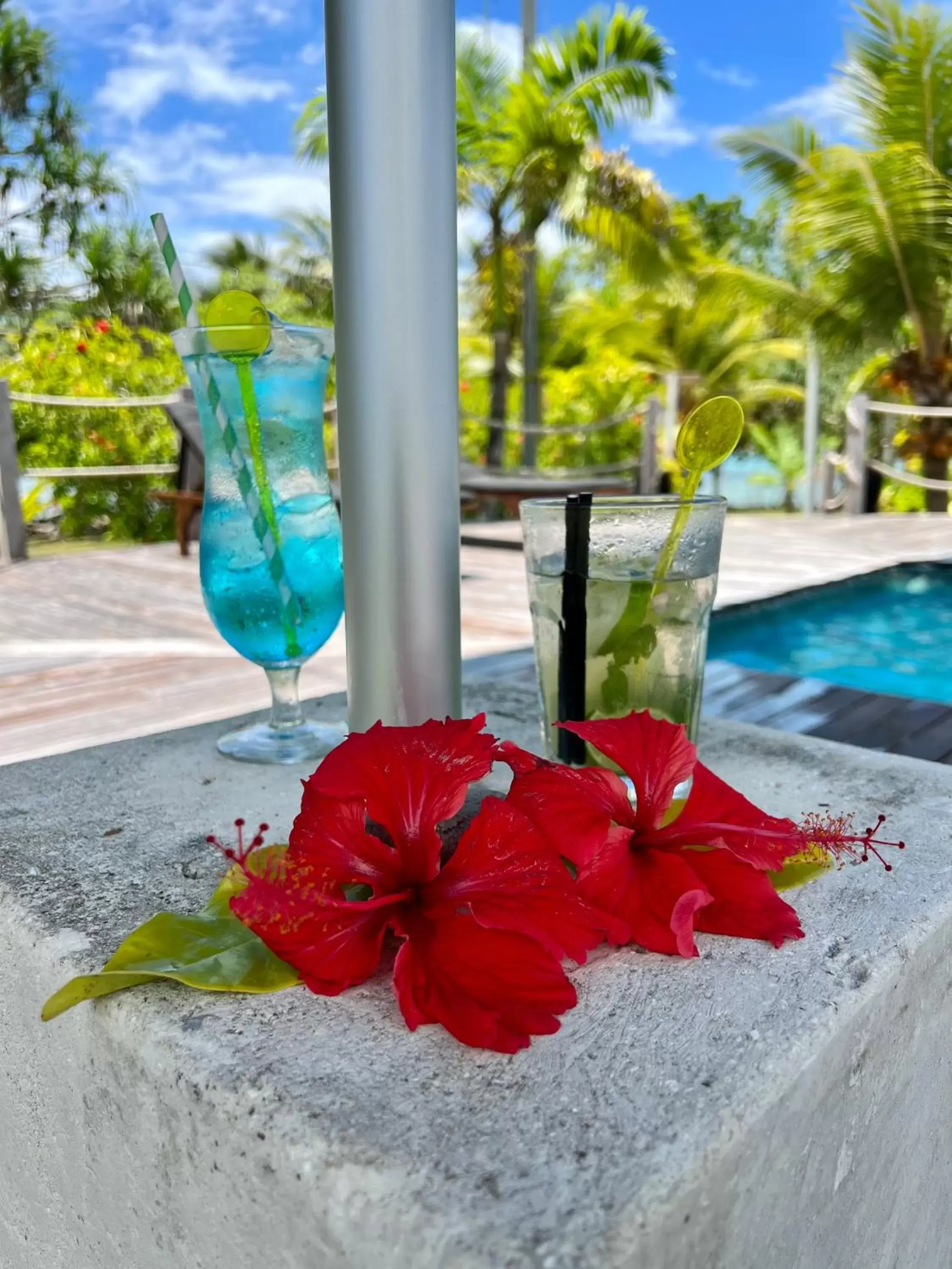 Day, Swimming Pool in Turtle Bay Lodge