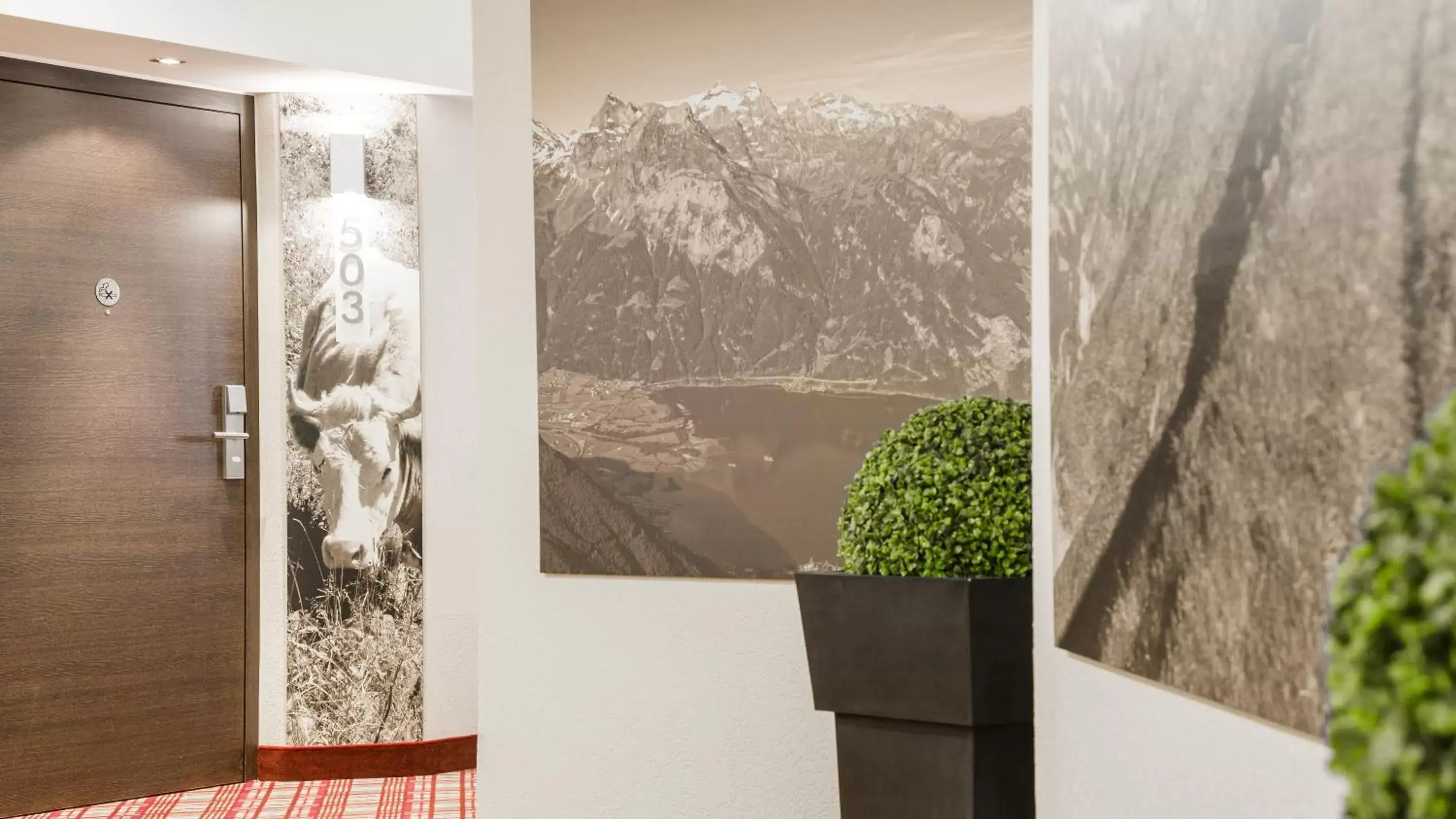 Area and facilities, Mountain View in AMERON Luzern Hotel Flora