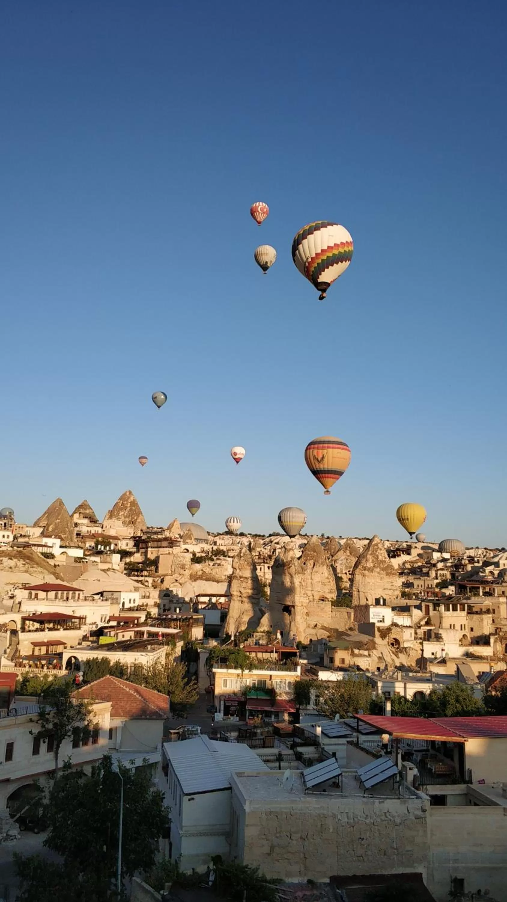 Activities in Arch Palace