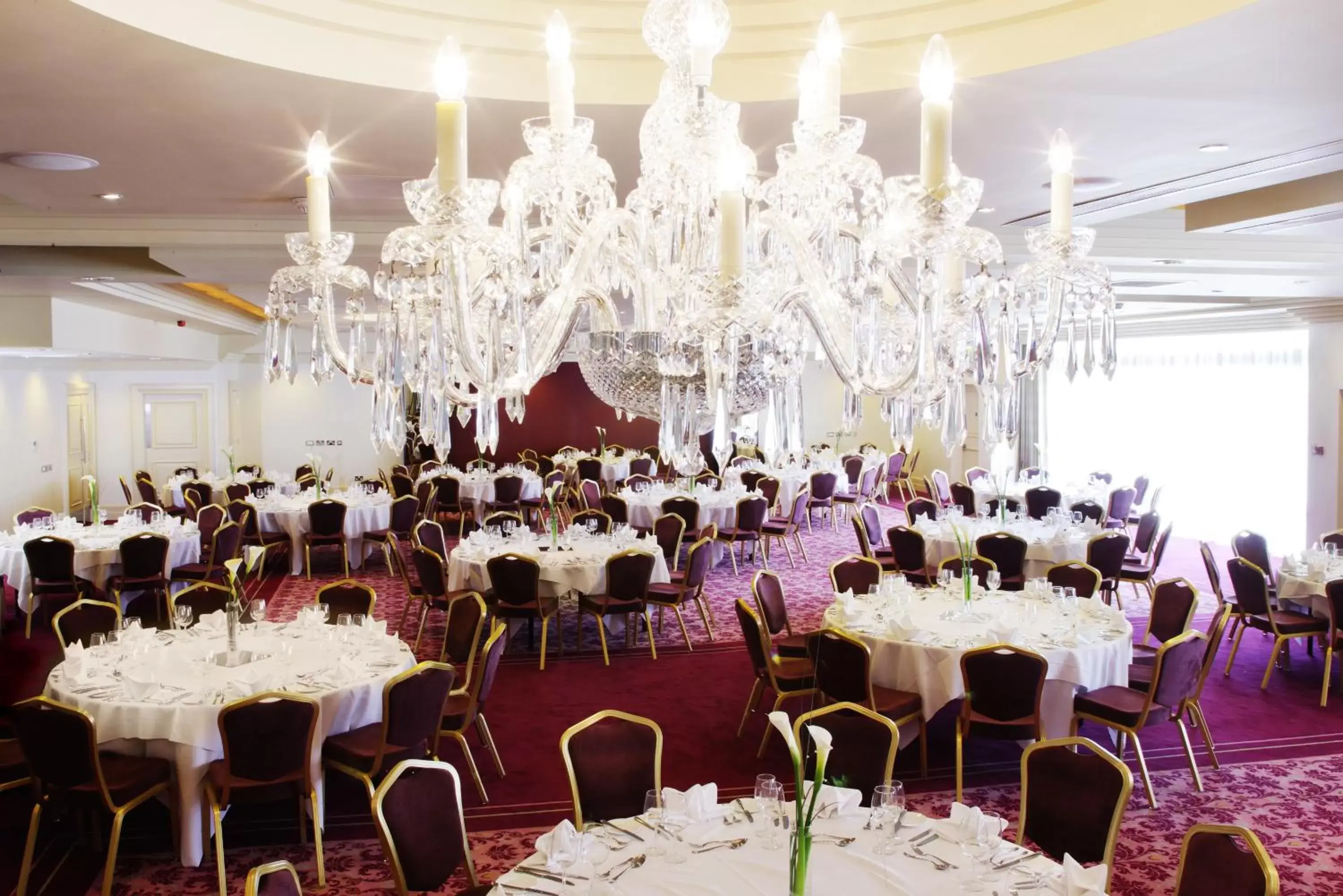 Meeting/conference room, Banquet Facilities in The Bristol Hotel