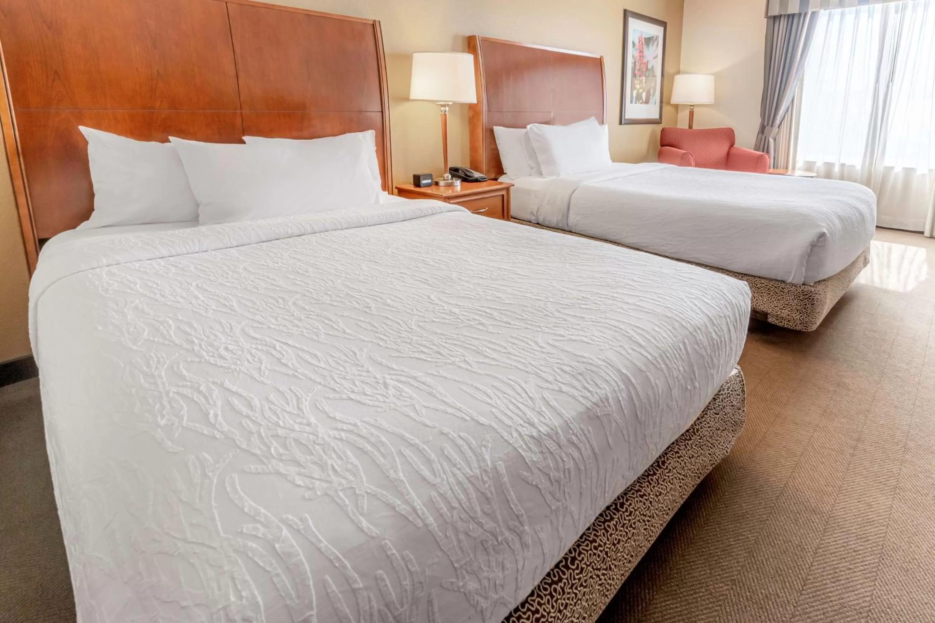 Bed in Hilton Garden Inn Houston/The Woodlands