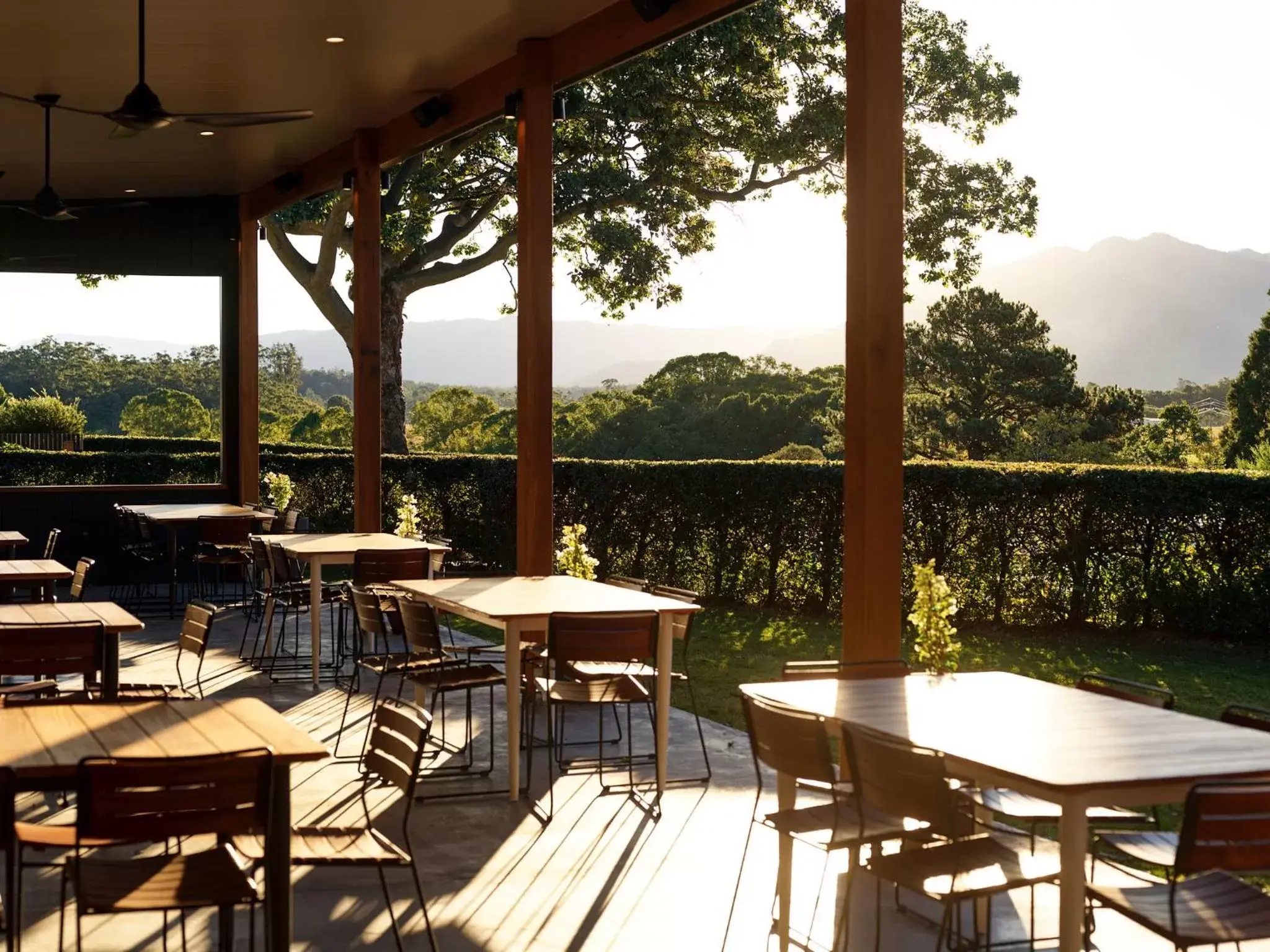 Restaurant/Places to Eat in The Lodge Bellingen