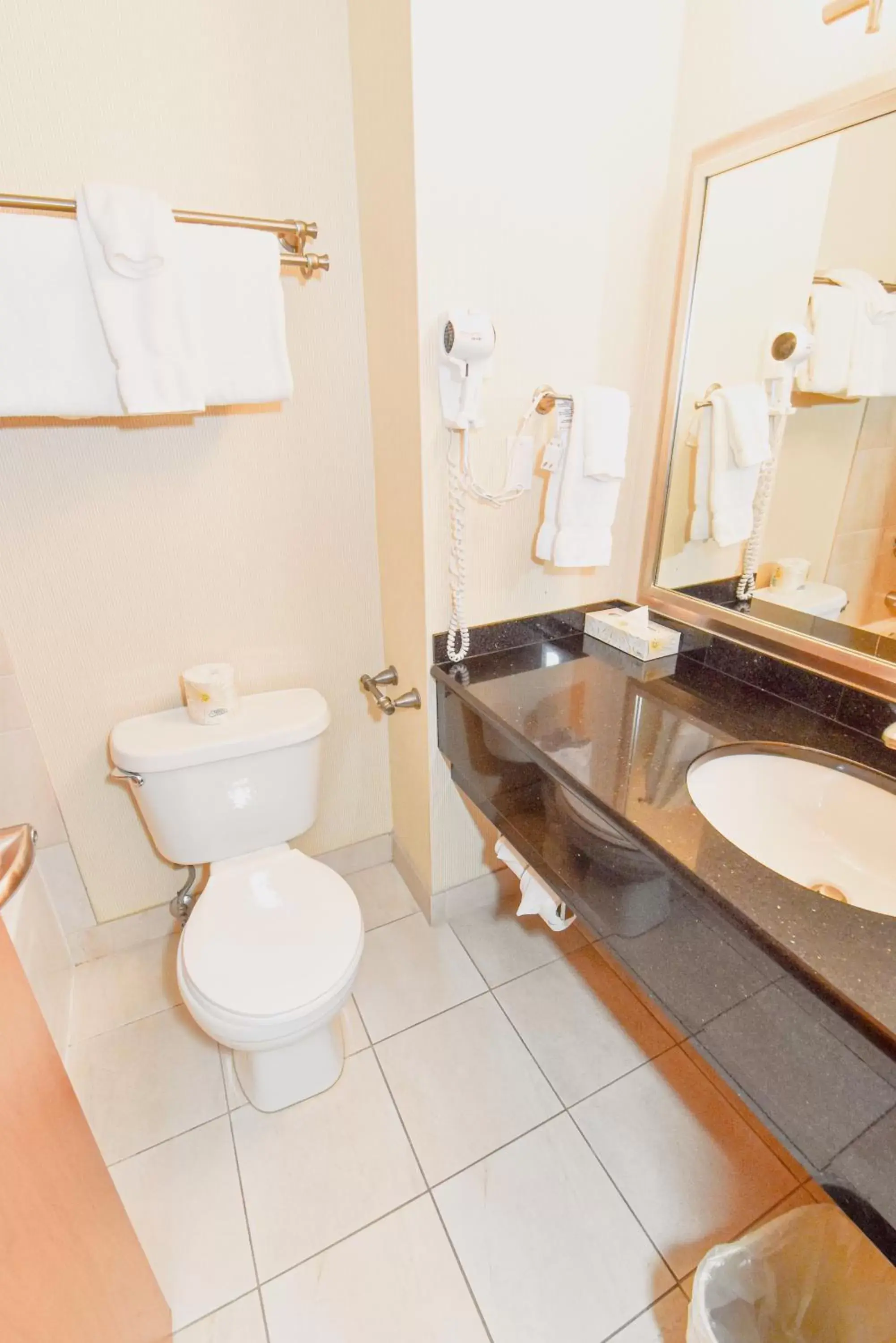 Bathroom in Canad Inns Destination Centre Polo Park