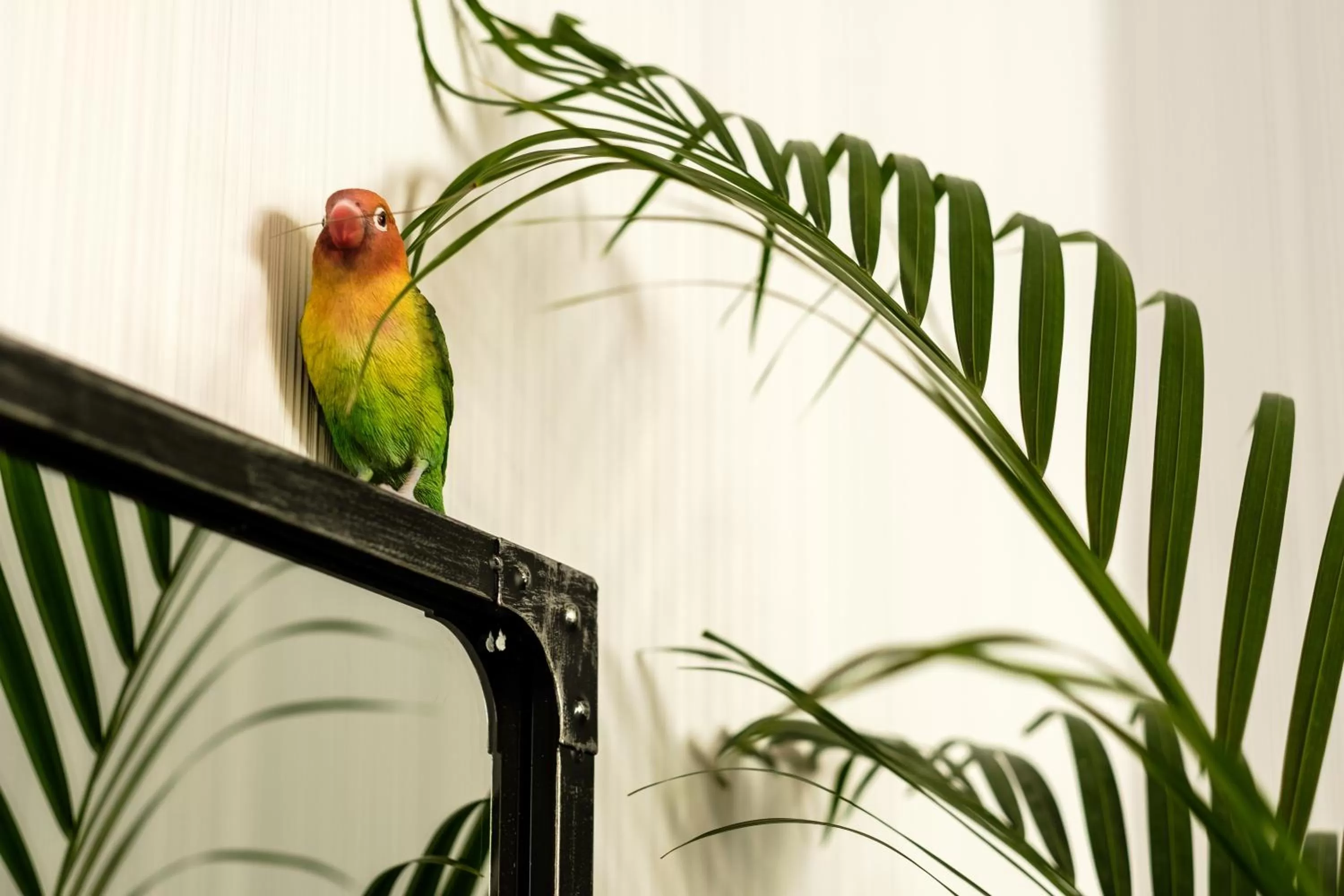 Lounge or bar in Clement Barajas