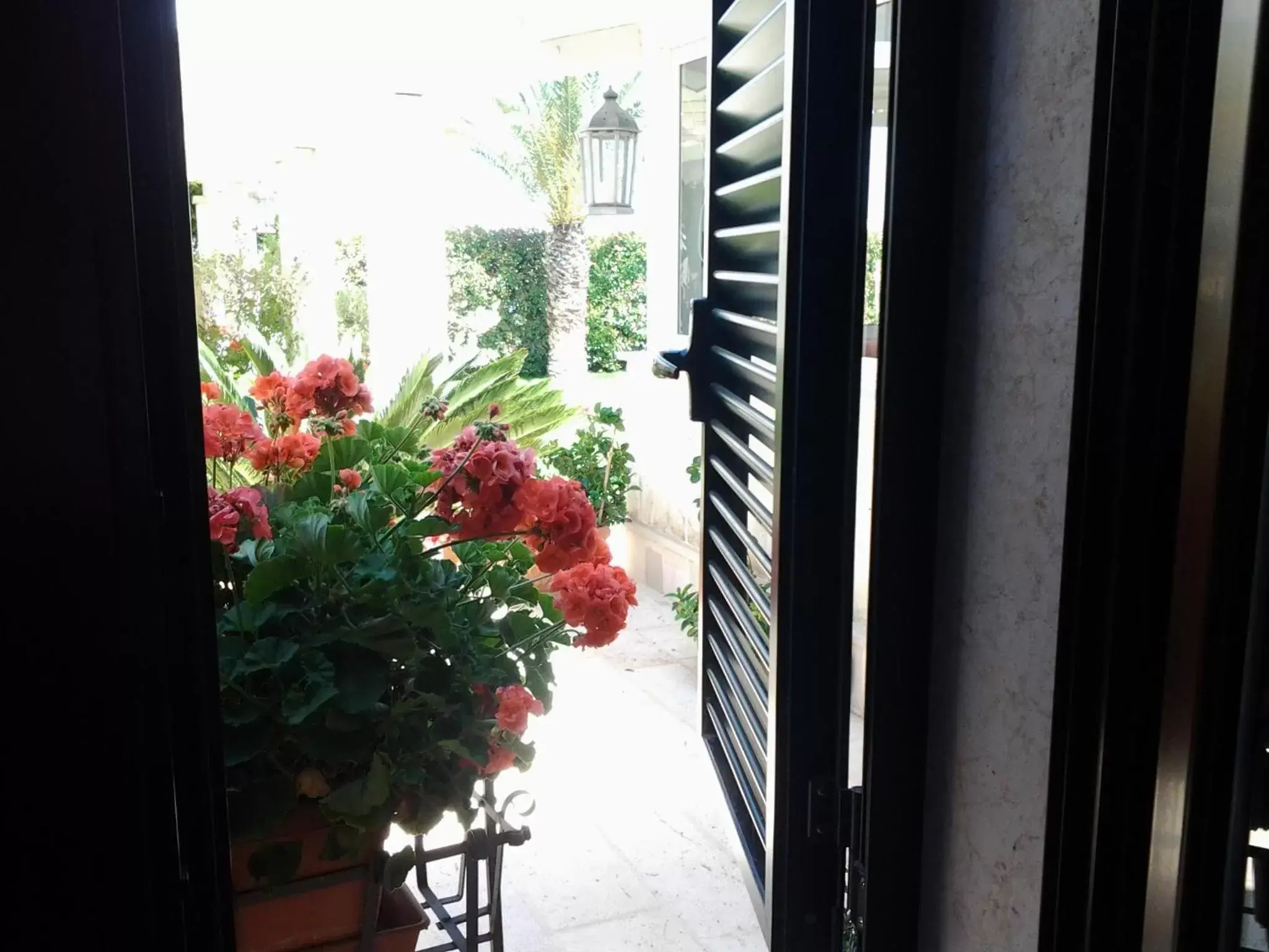 Day, Balcony/Terrace in Villa Caramia