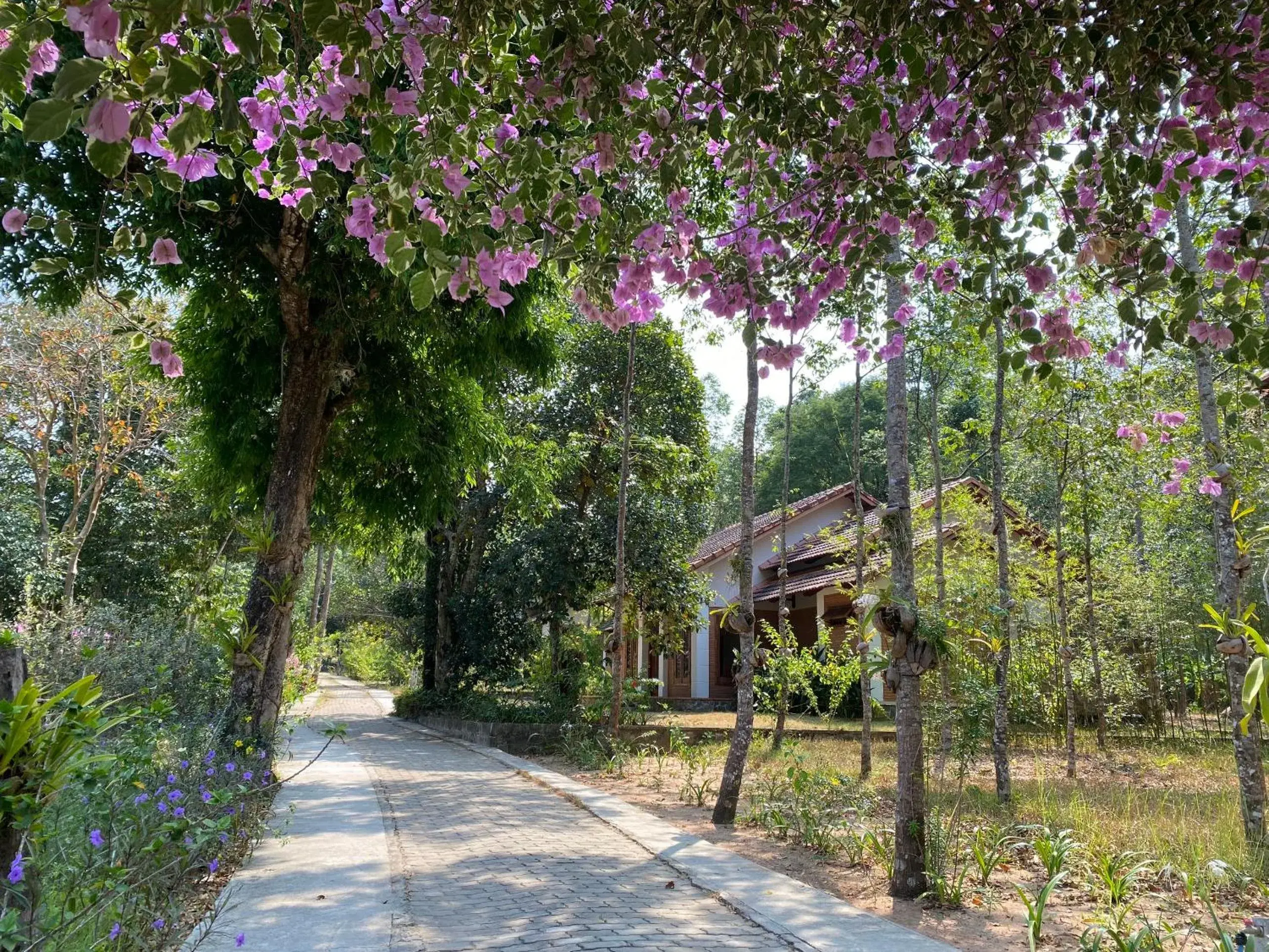 View (from property/room), Property Building in The Garden House Phu Quoc Resort