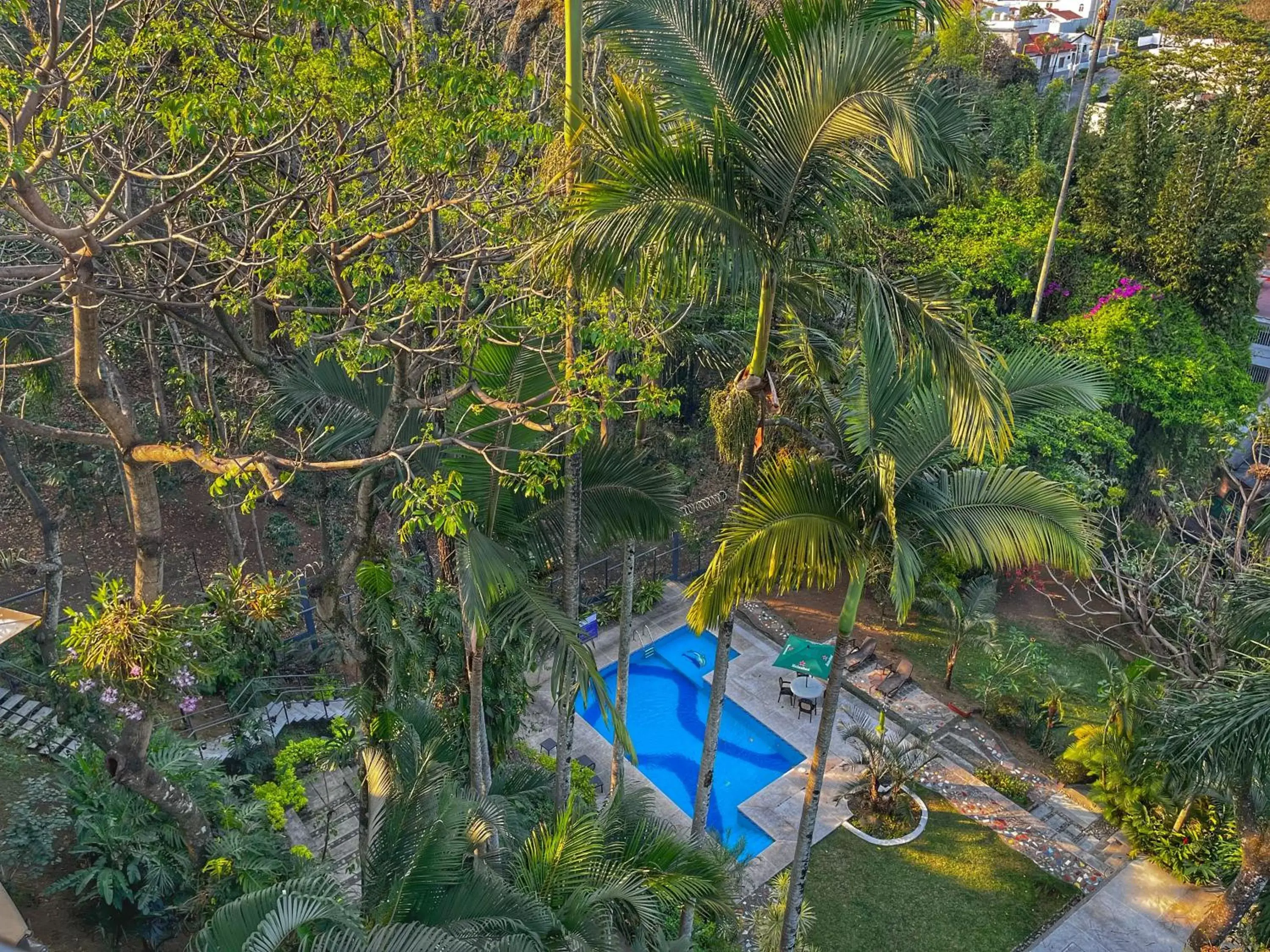 Swimming pool, Pool View in Comfort Inn Córdoba