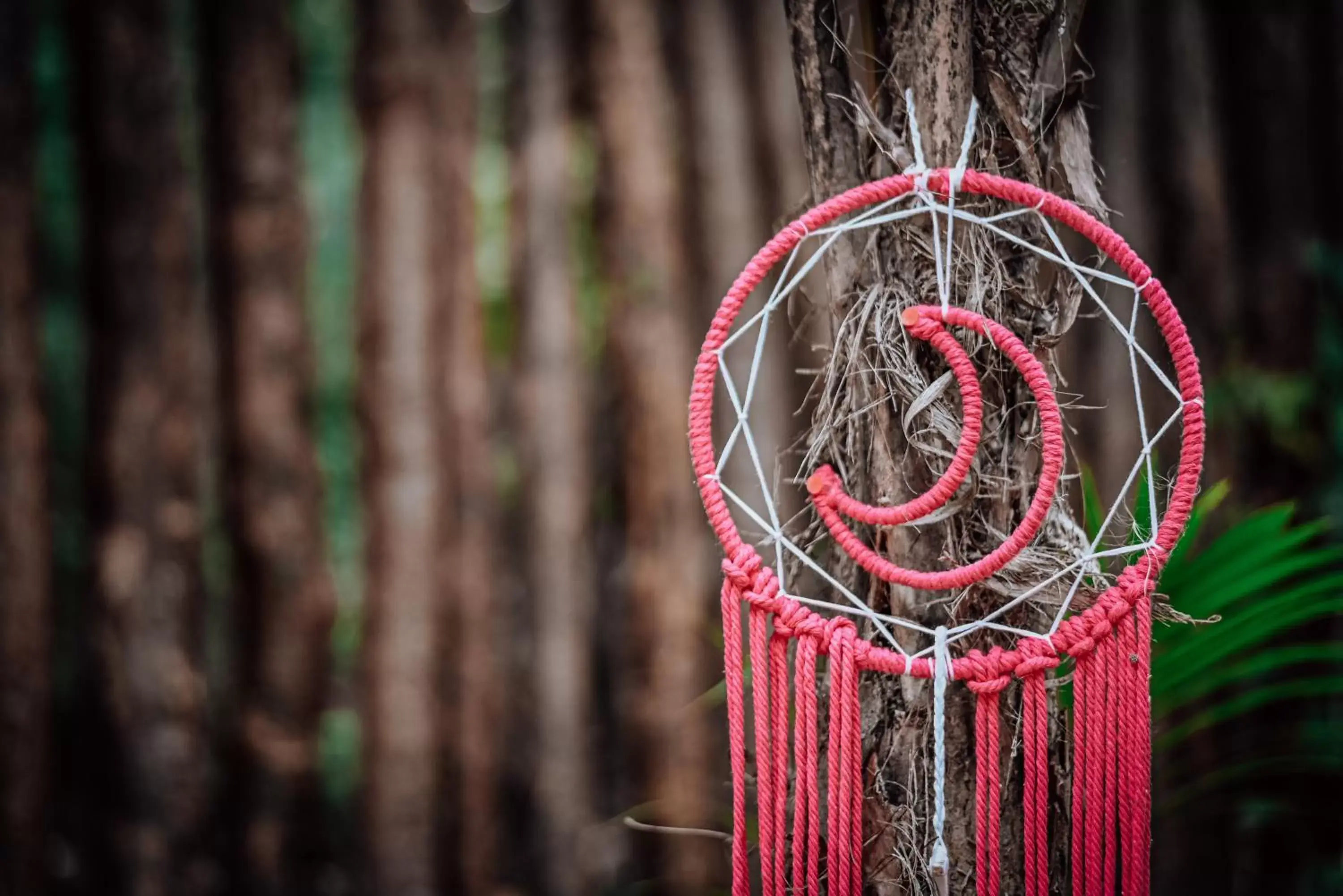 Decorative detail in Lunita Jungle Experience