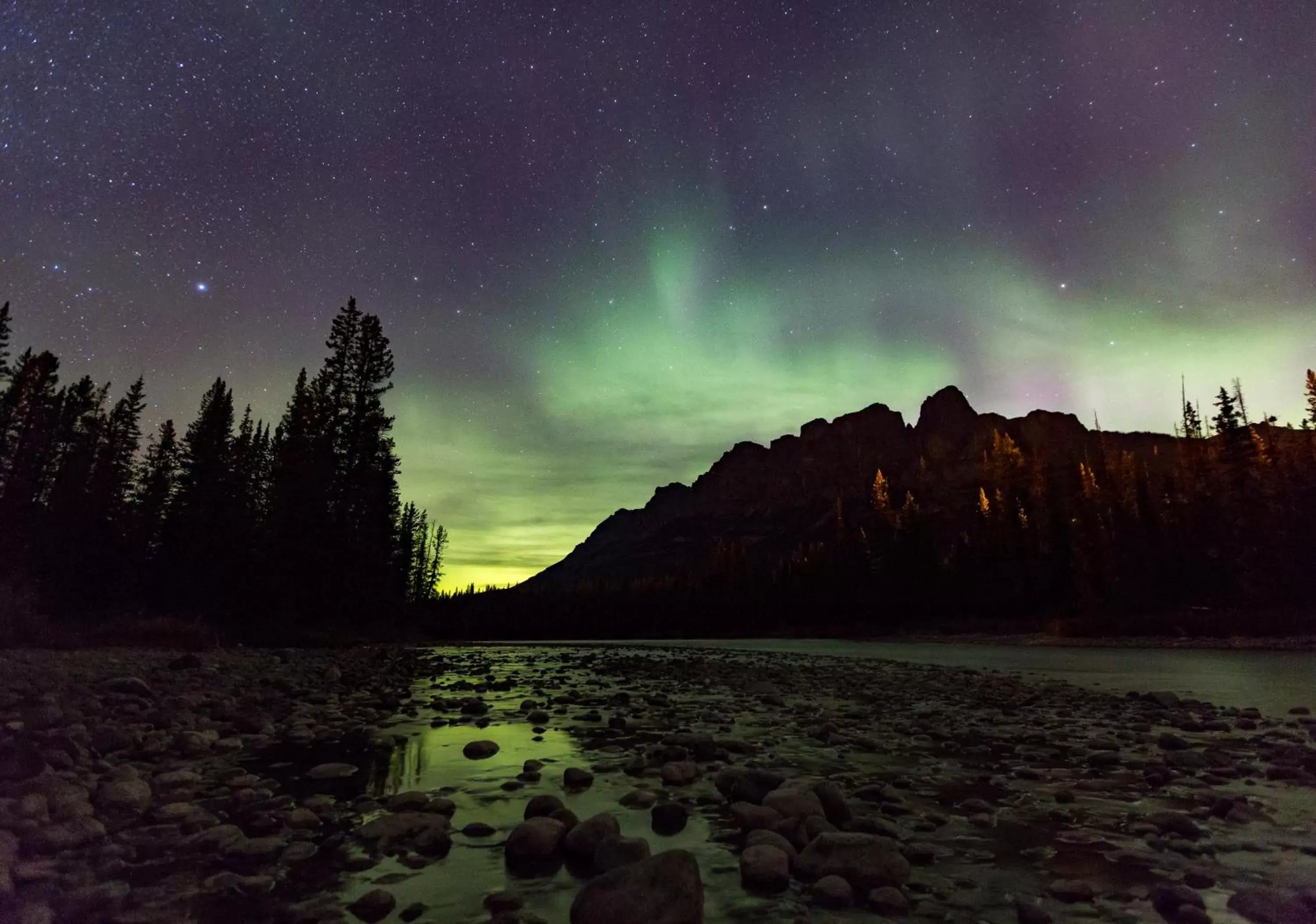 Natural landscape in Baker Creek By Basecamp