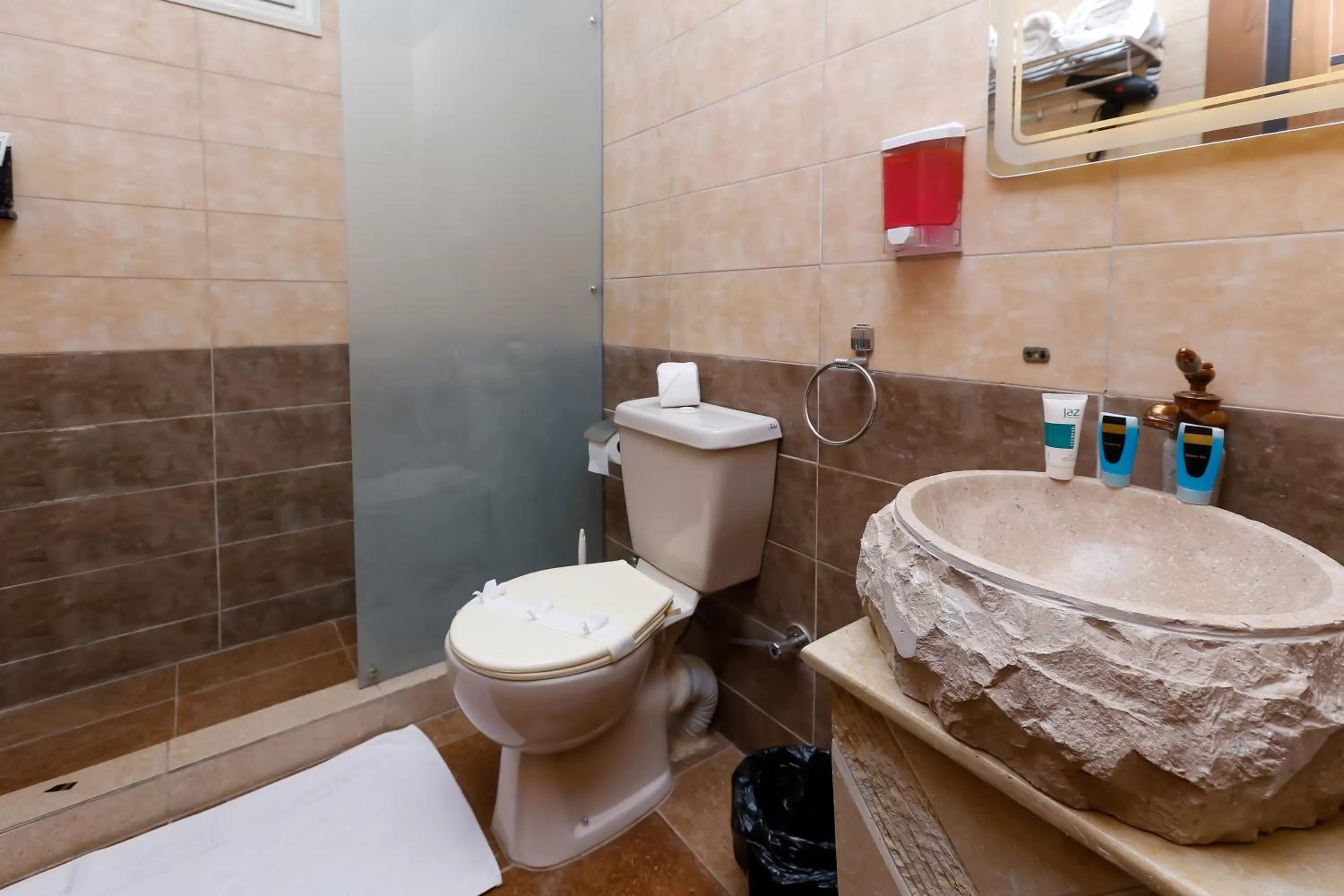 Shower, Bathroom in King Cheops Inn - Pyramid View