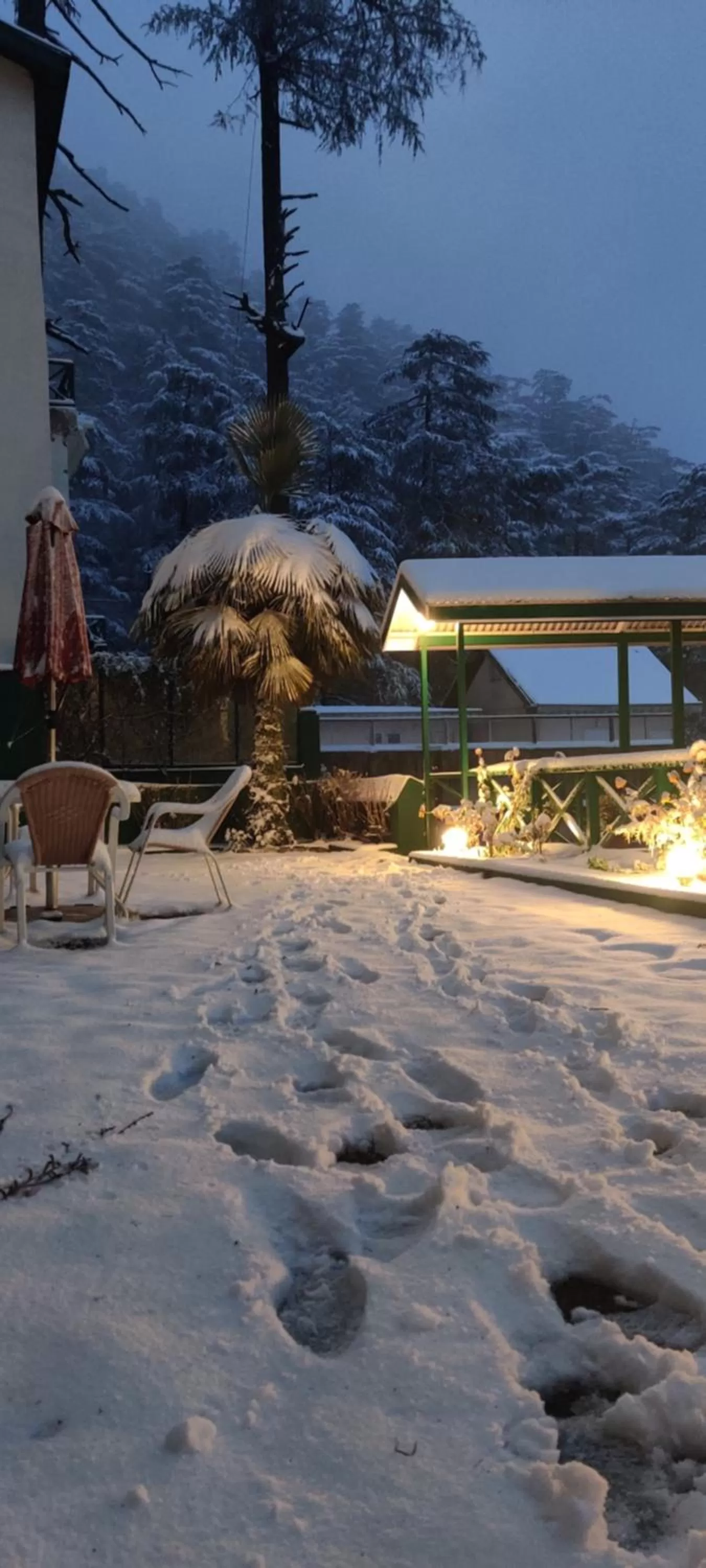 Winter in Honeymoon Inn Shimla