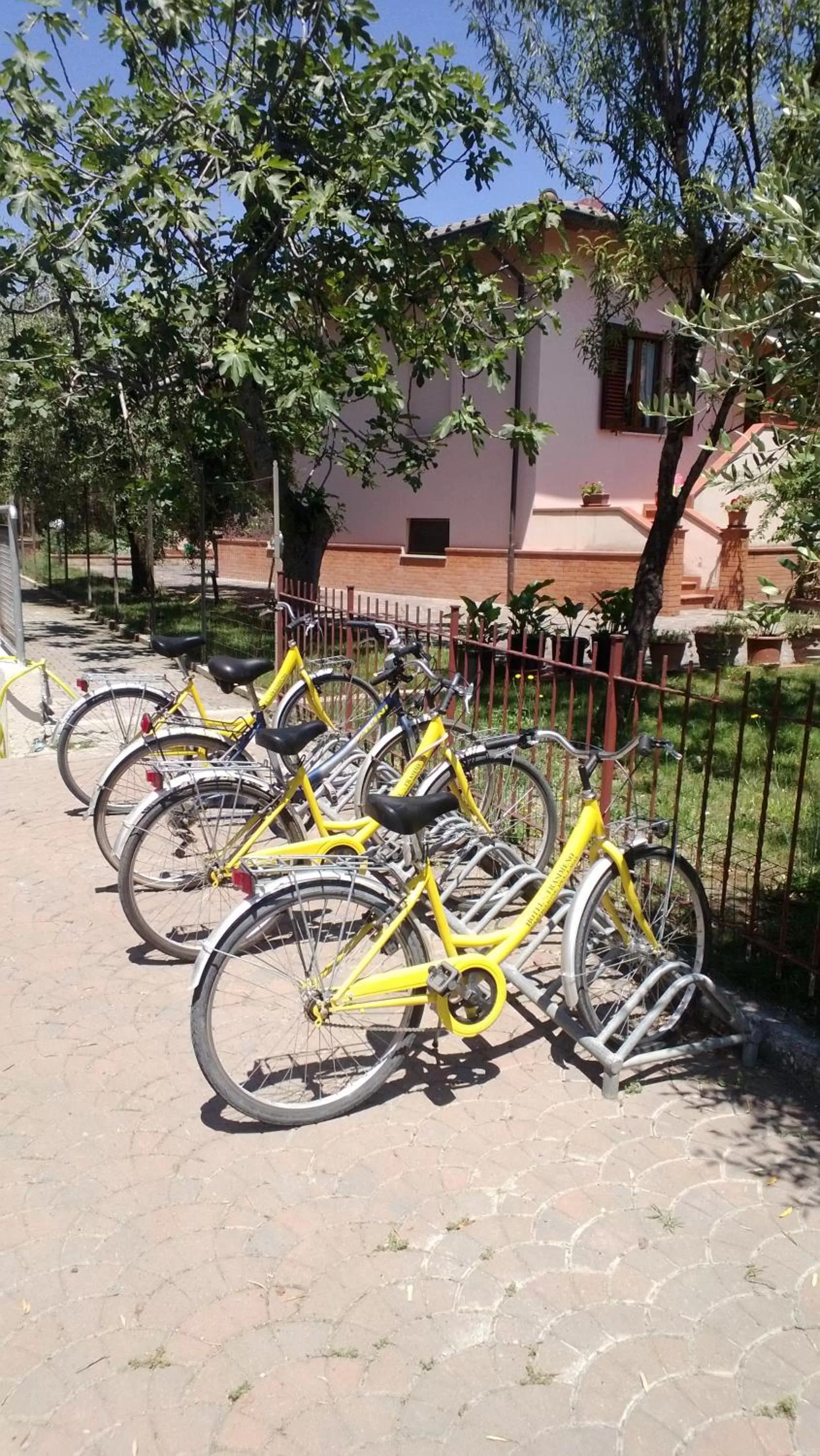 Cycling in Hotel Trasimeno Bittarelli