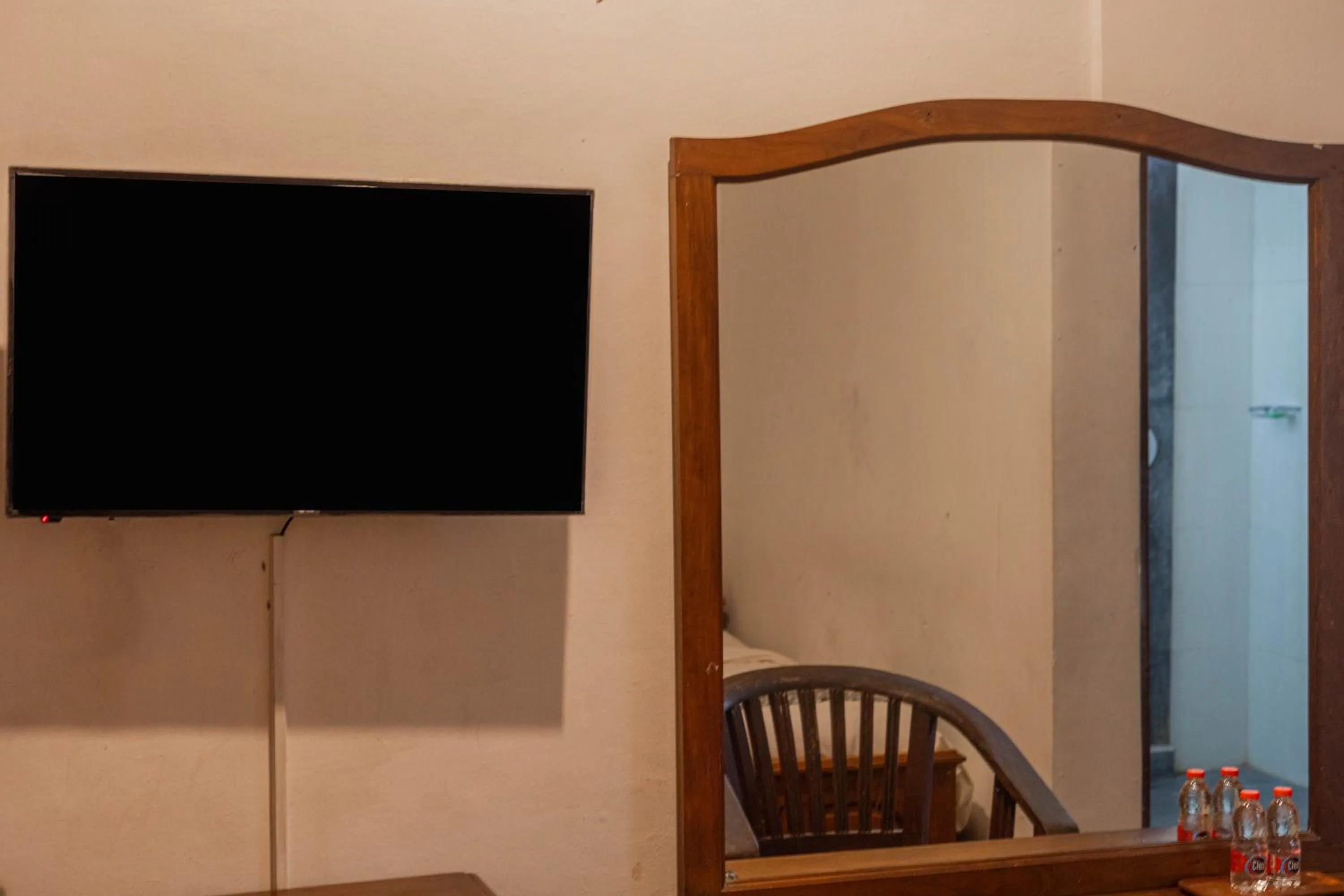 TV and multimedia in Puri Mango Guest House Sanur