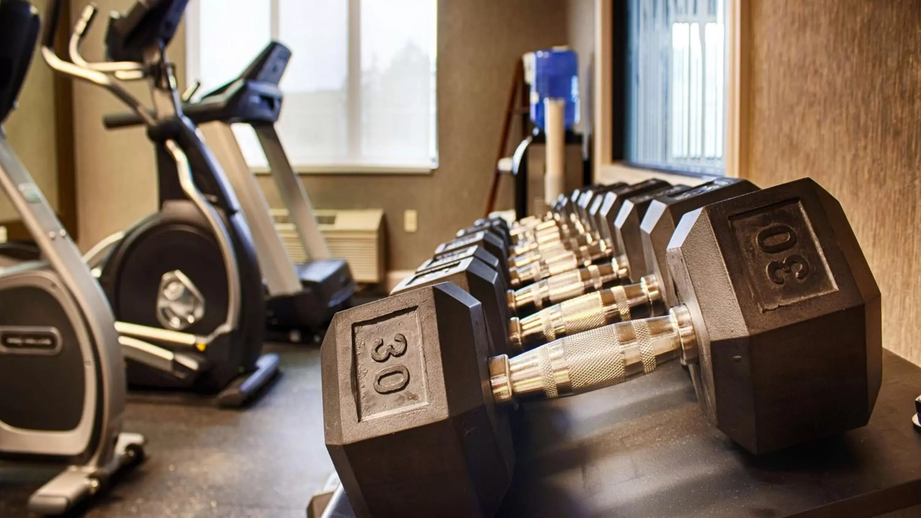 Fitness centre/facilities, Fitness Center/Facilities in Best Western Elkhart Inn & Suites