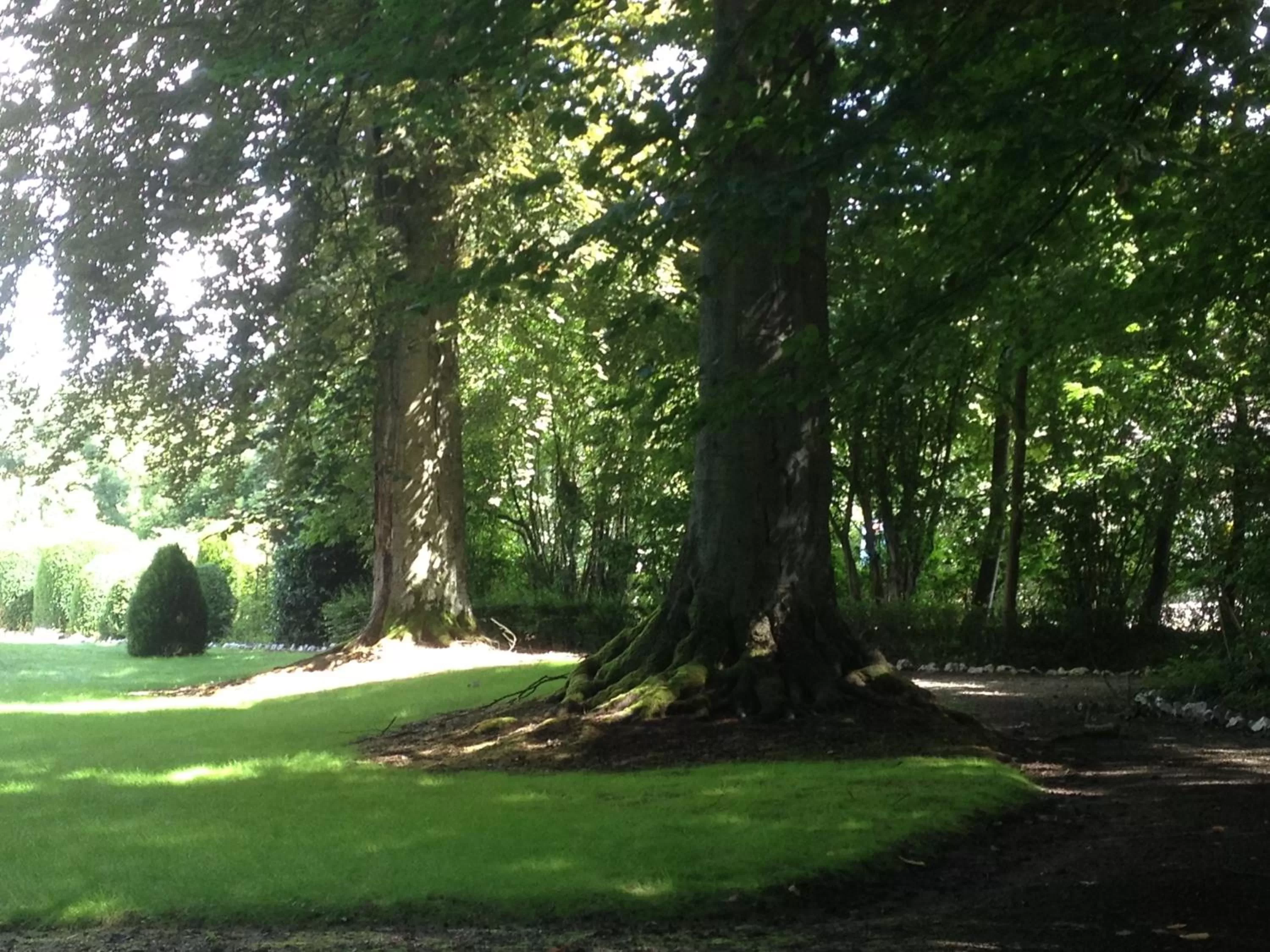 Garden in Villa Adélaïde