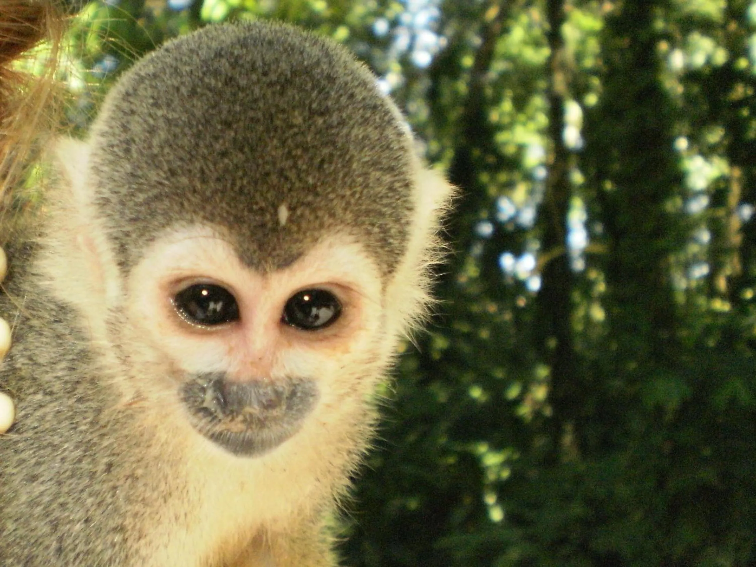 Off site in Hotel Anaconda